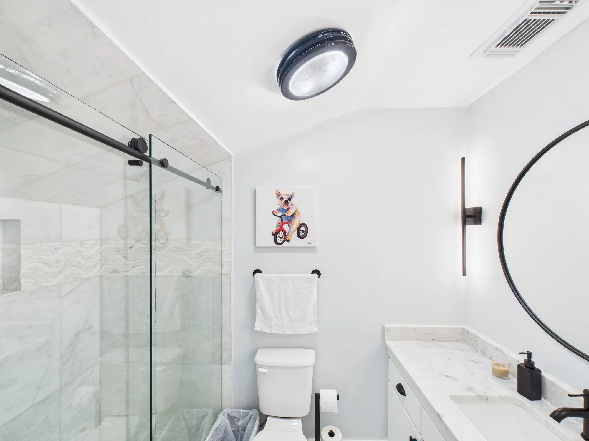Modern bathroom with white walls and marble accents, a round black ceiling light, a framed dog riding a bike artwork, a mirror, black fixtures, a white towel, and a glass shower door.