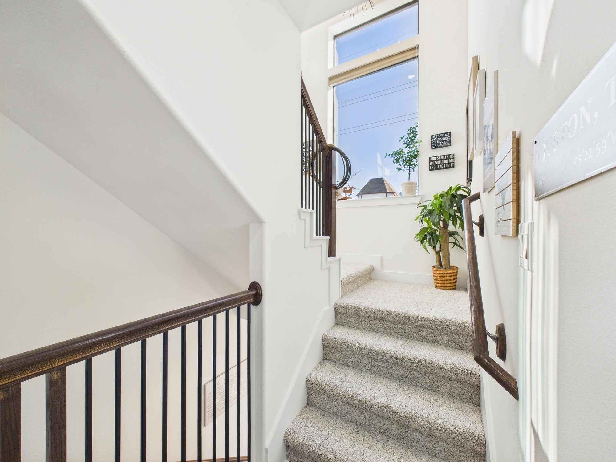 Interior view of a staircase with beige carpet, wooden handrails, a large window with blinds letting in natural light, a potted plant, and wall decor.