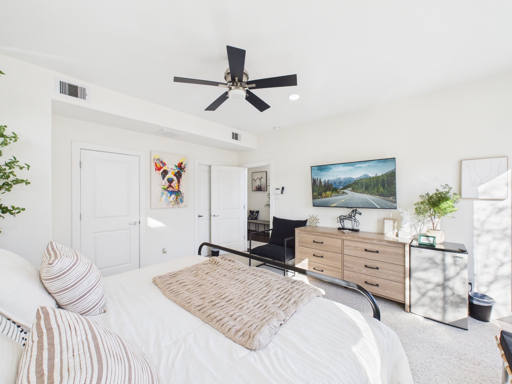 A bedroom with a white bed, beige throw, striped pillows, a dresser, wall art including a colorful dog painting, a TV showing a mountain road, and a ceiling fan.