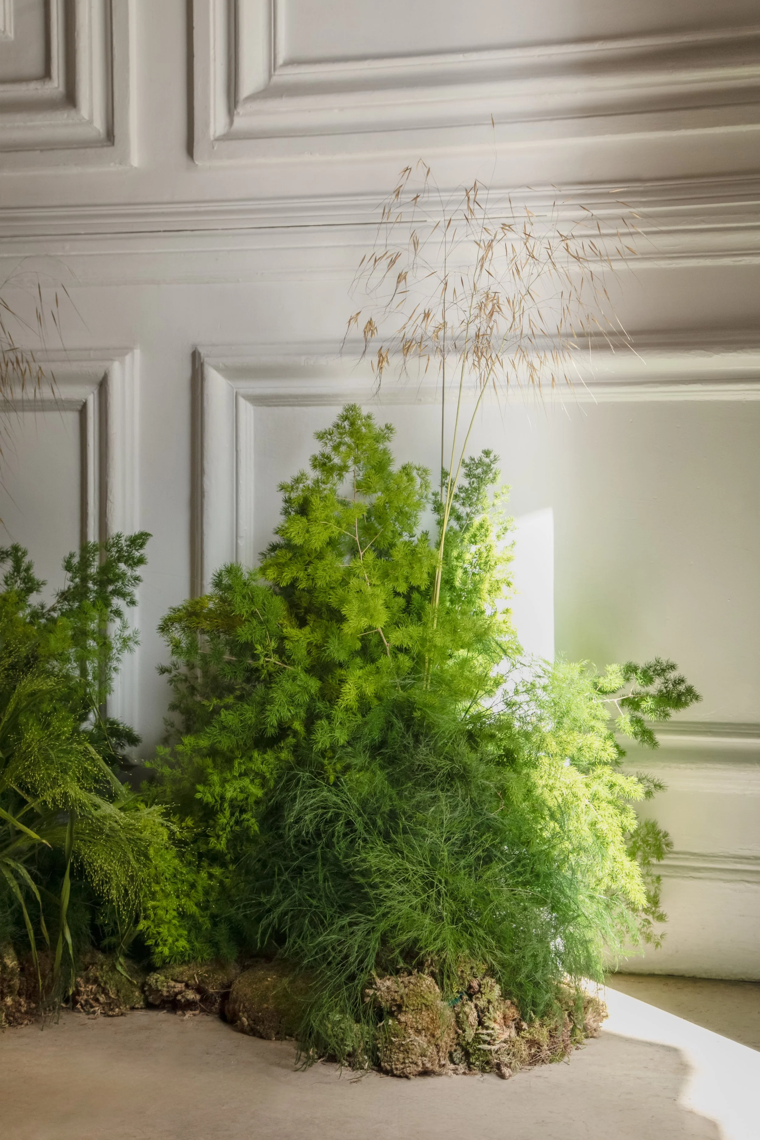 Group installation - Madrid Flower School