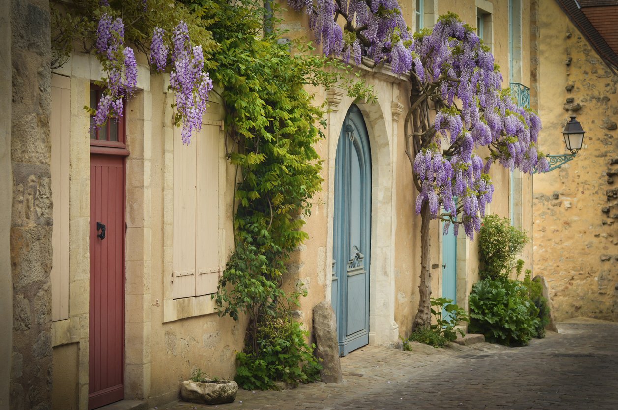 The Secrets of L'Amour Maison