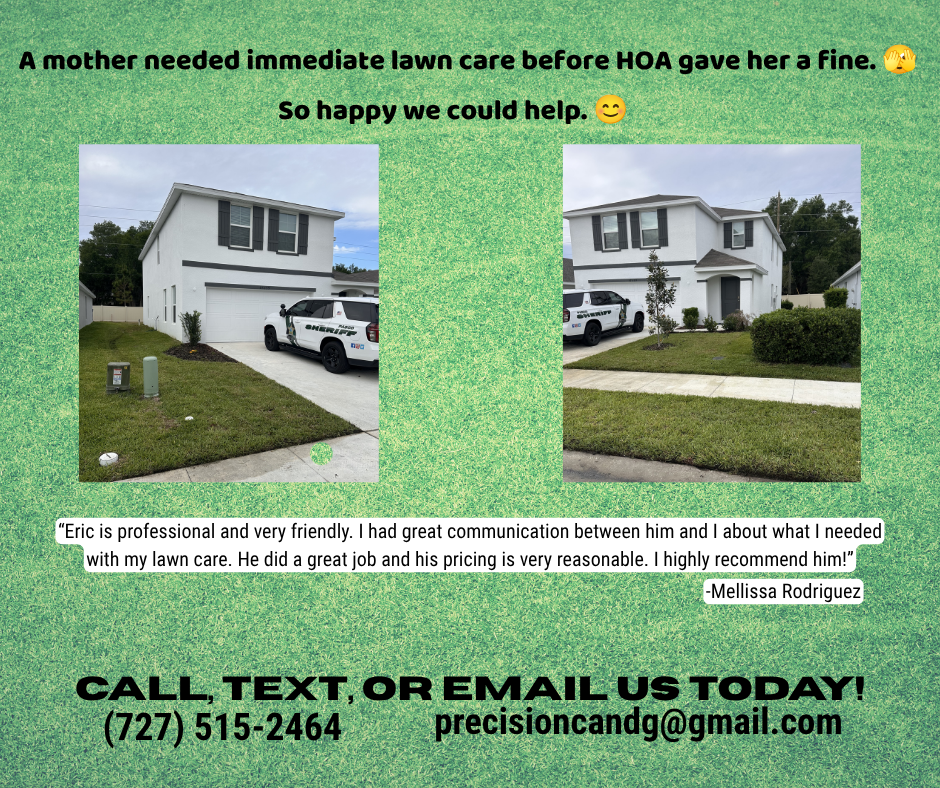 Copy of Before & After (1).png