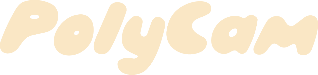PolyCam