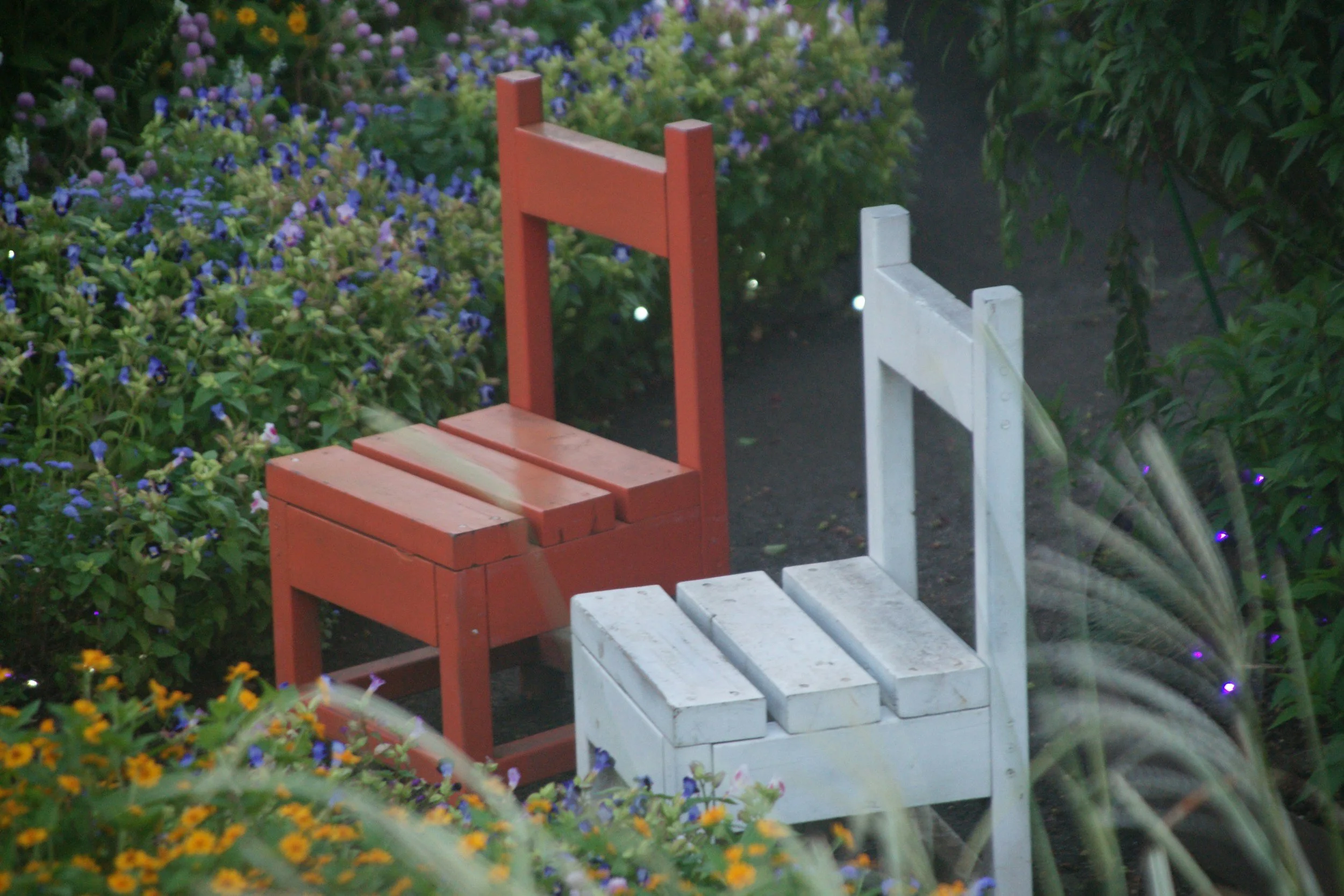A red and a white wooden bench in a garden surrounded by purple and yellow flowers.