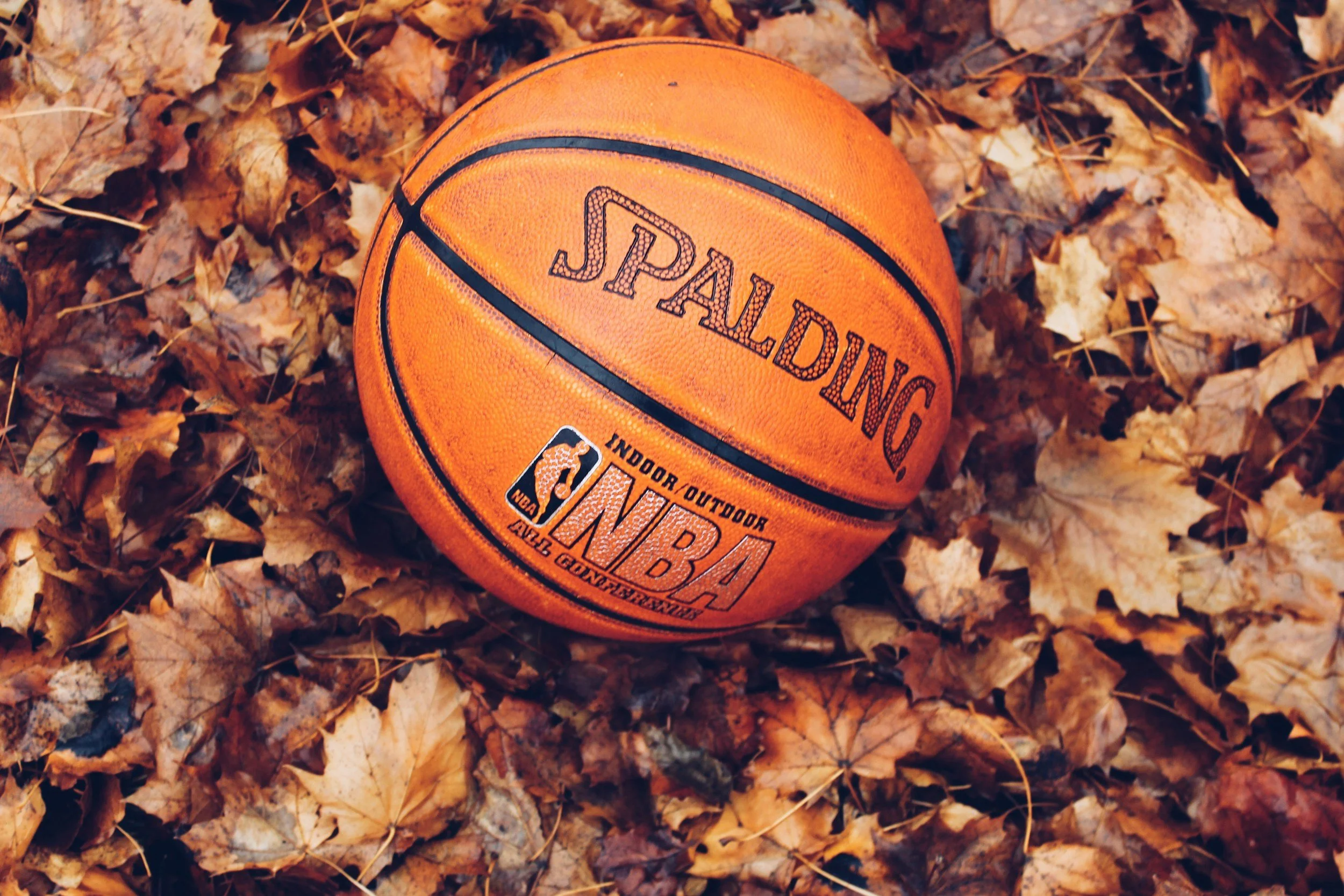An orange Spalding basketball lying on a bed of fallen autumn leaves