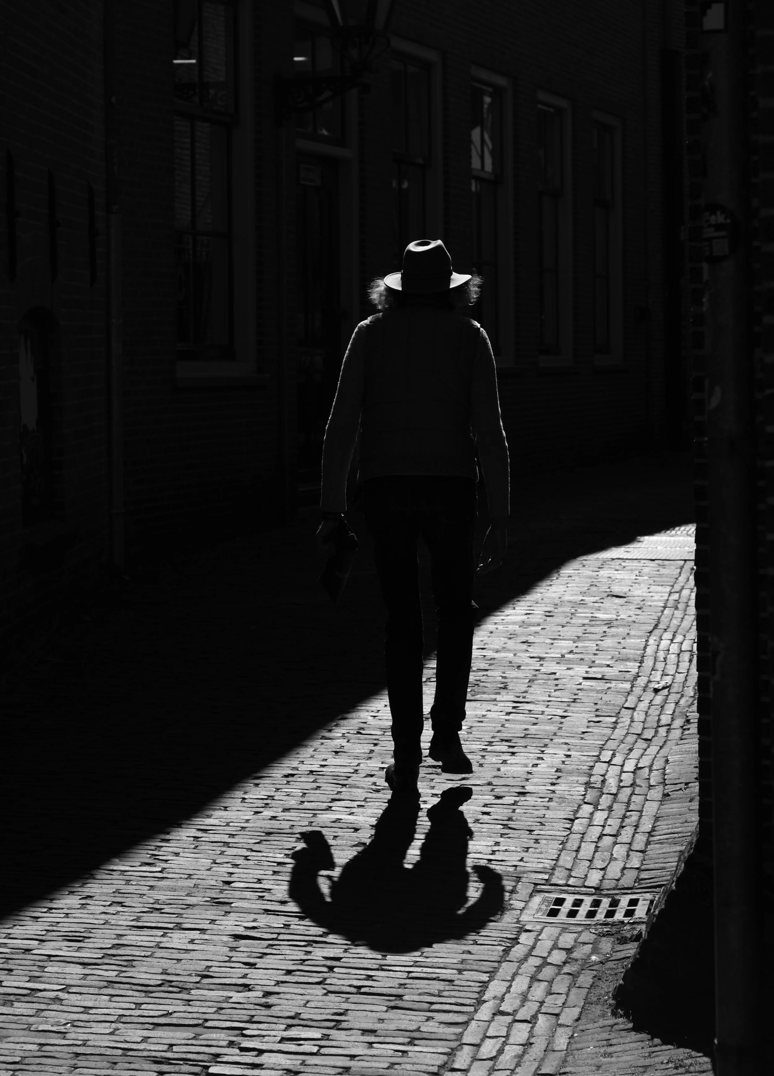 A person walking on a cobblestone street in sunlight, wearing a hat and coat, seen from behind with their shadow cast ahead.