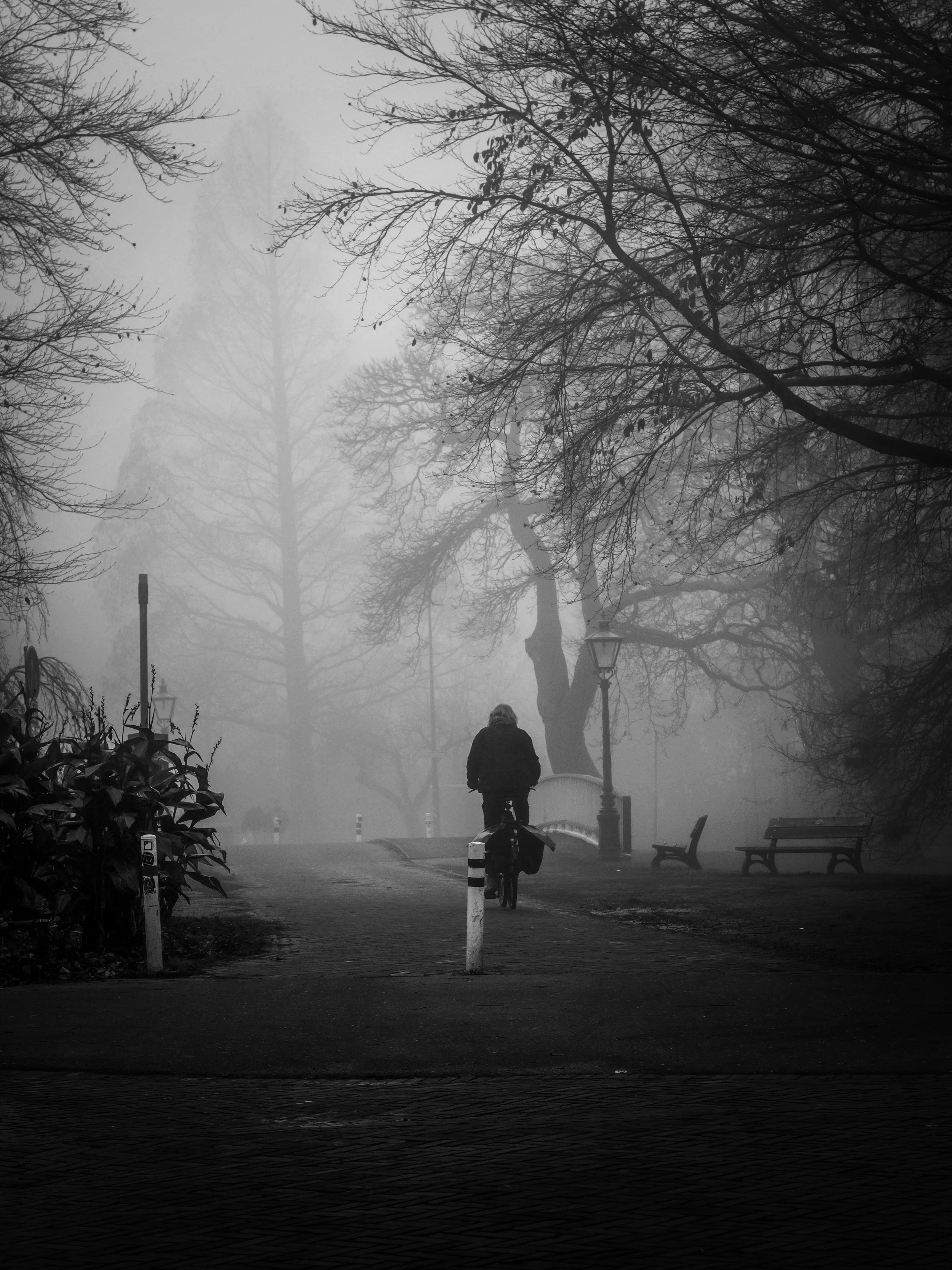A person riding a bicycle on a foggy park path with trees and benches, black and white.