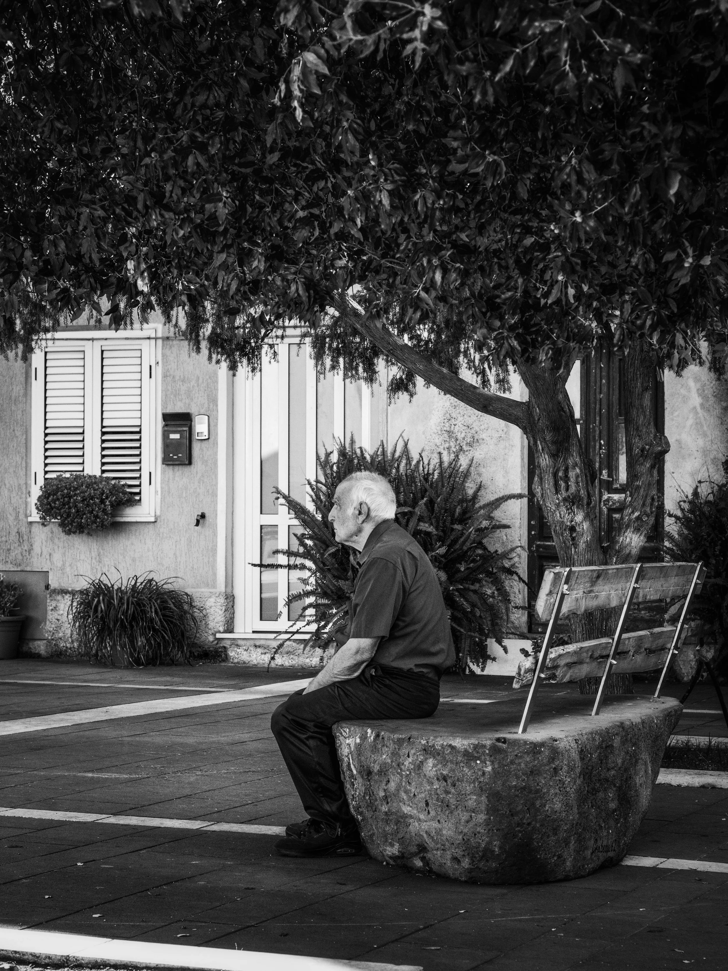 A man with white hair kneeling and praying on a sidewalk beside a large stone planter. There is a bench to his right, trees, plants, and a building with closed shutters and a door in the background.