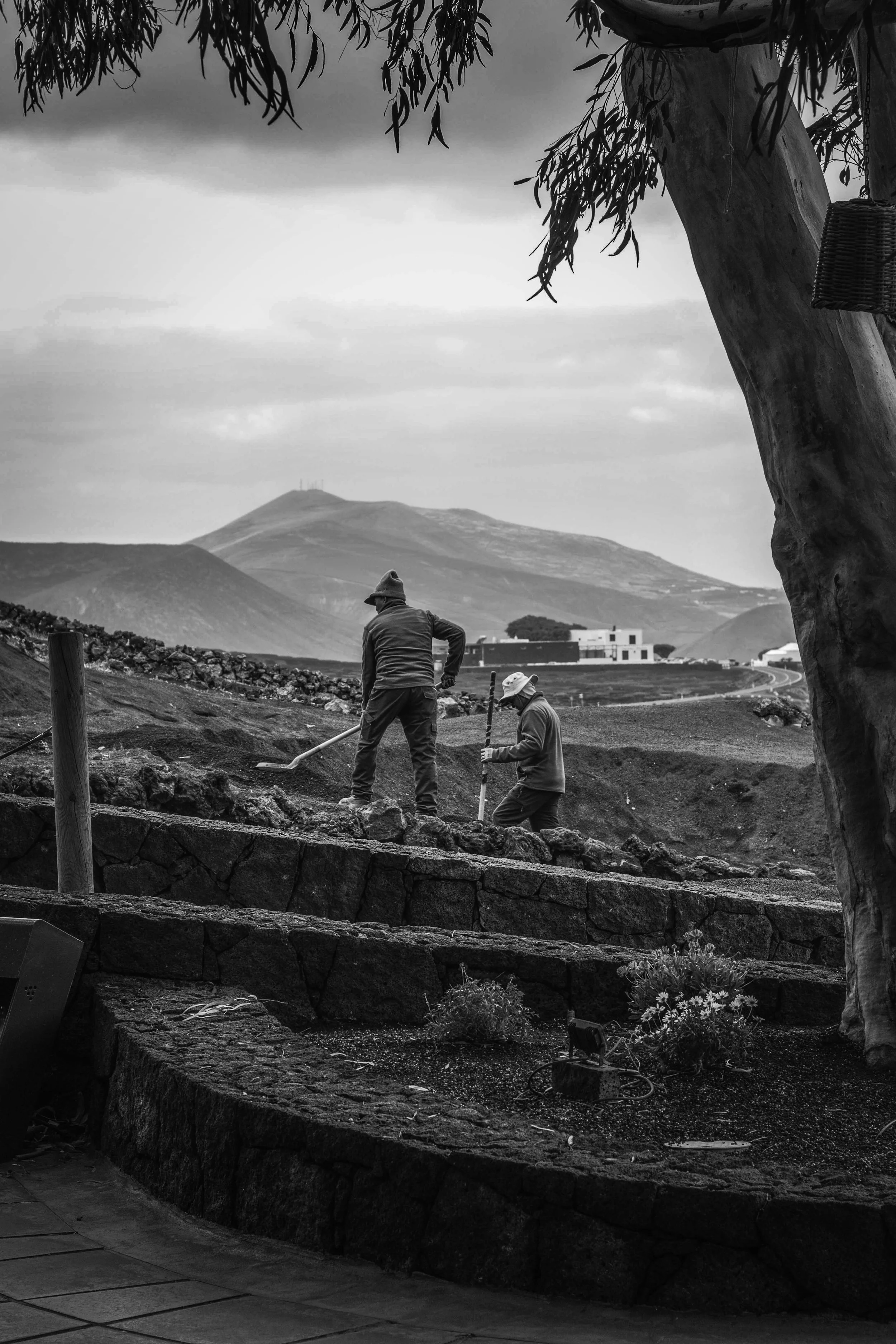 Two people working outdoors on a stone pathway, surrounded by a landscaped area, with hills and a few buildings in the background, and a large tree in the foreground.