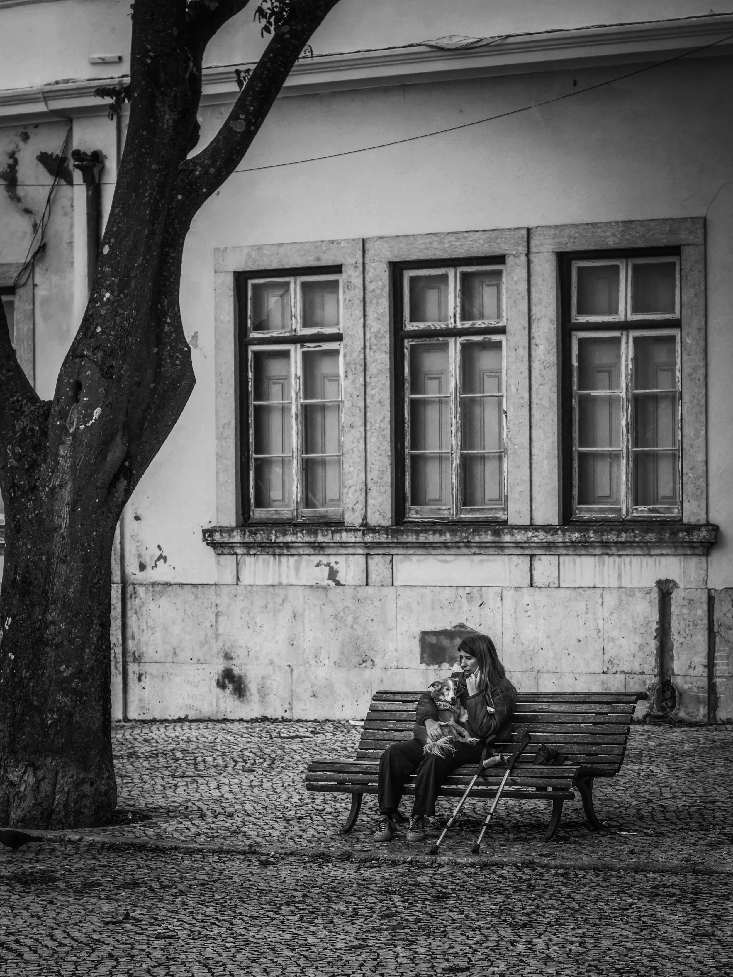 A woman sitting on a park bench with a dog on her lap, holding a phone to her ear, in front of an old building with three tall, weathered windows, a large tree, and cobblestone ground.