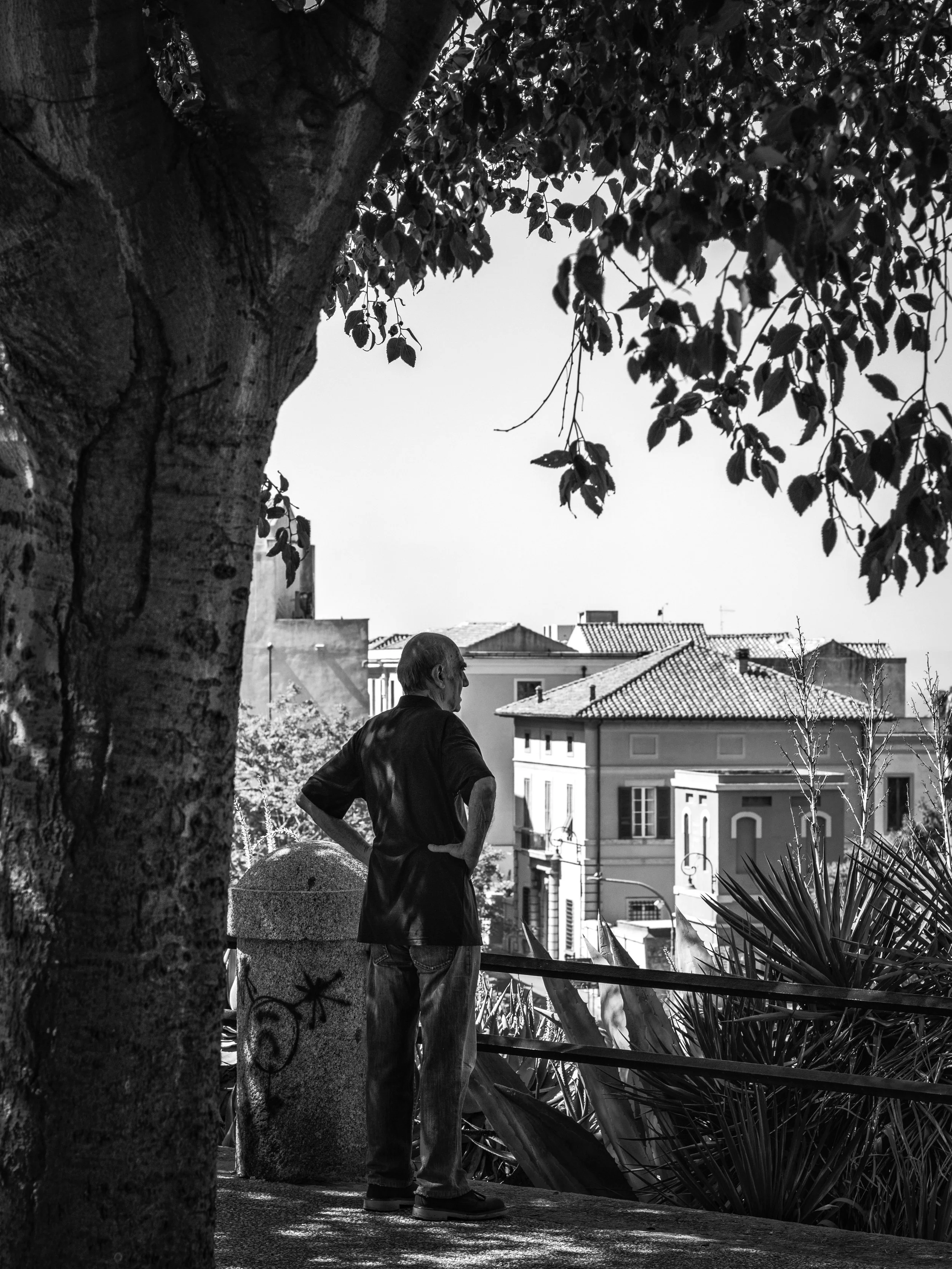 A black and white photo of a man standing outdoors on a balcony, with buildings and rooftops in the background. He is seen from the side, with his hands on his hips, near a large tree that partially frames the scene.