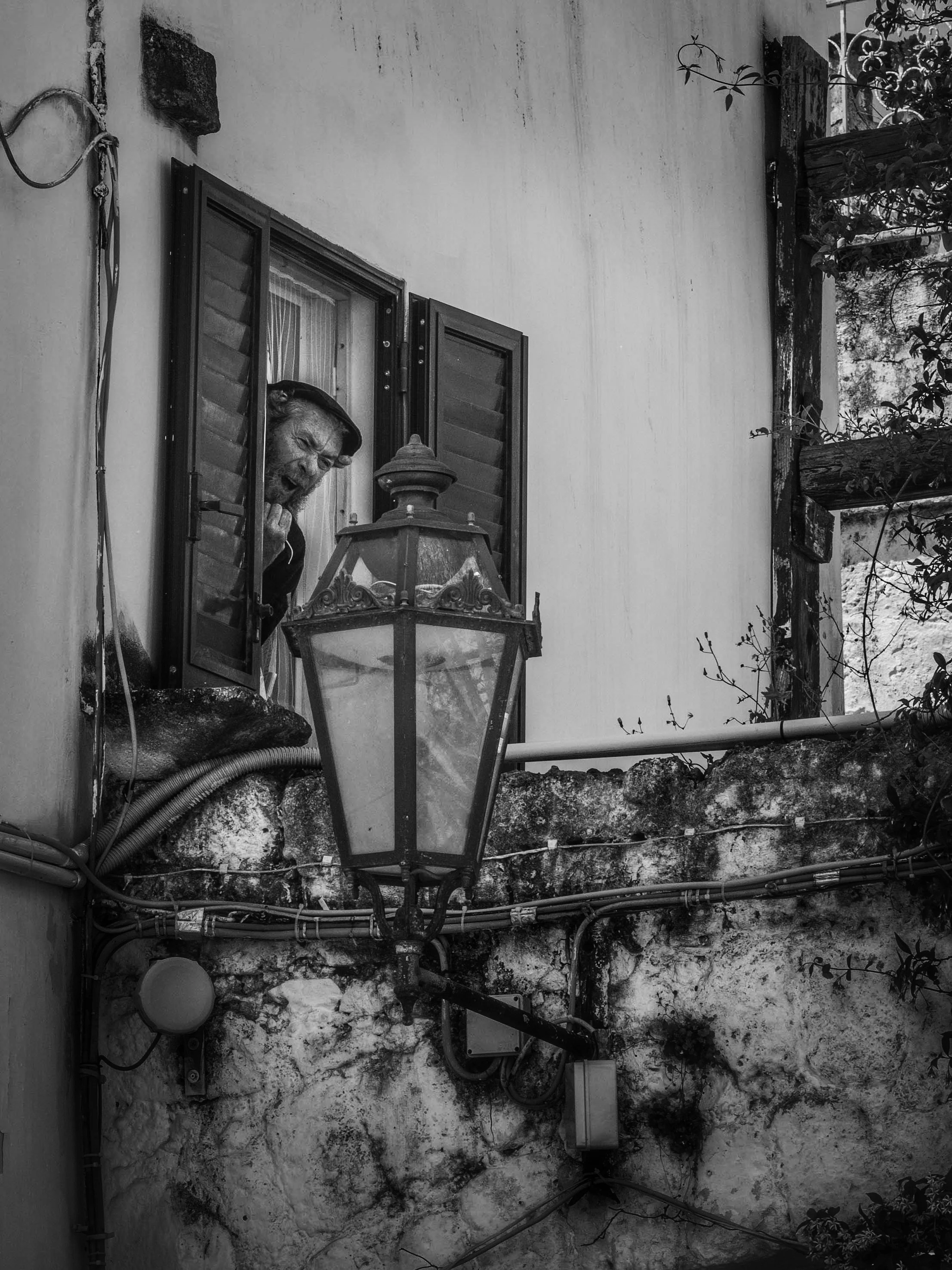 A man leaning out of a window, wearing a hat, with a dog on the windowsill, next to a vintage lantern, on a textured exterior wall, with vines and foliage nearby.