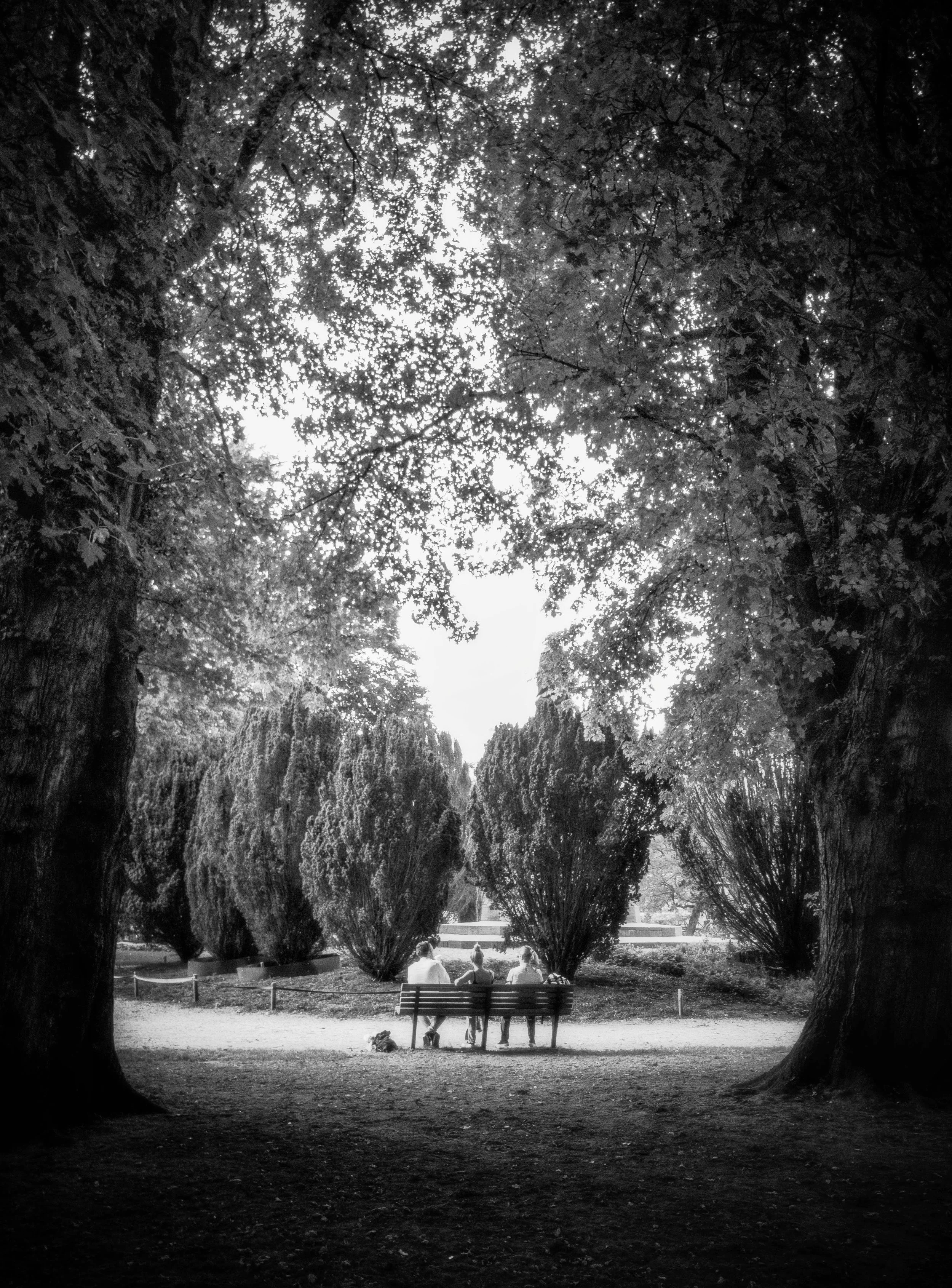 Black and white photo of three people sitting on a park bench under big trees, with two dogs on the ground nearby, and a person walking in the distance.