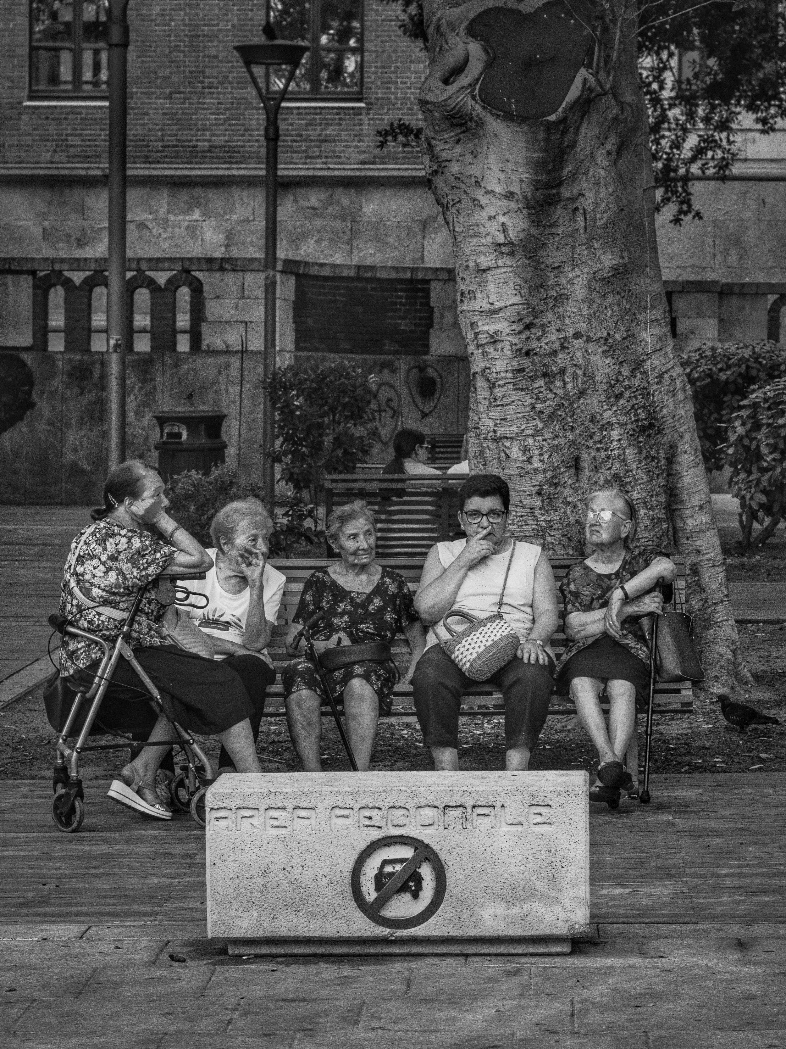 A group of elderly women sitting on a park bench in front of a large tree, with two women in the foreground and a woman in the background reading. A sign in front of the bench indicates a no smoking policy.
