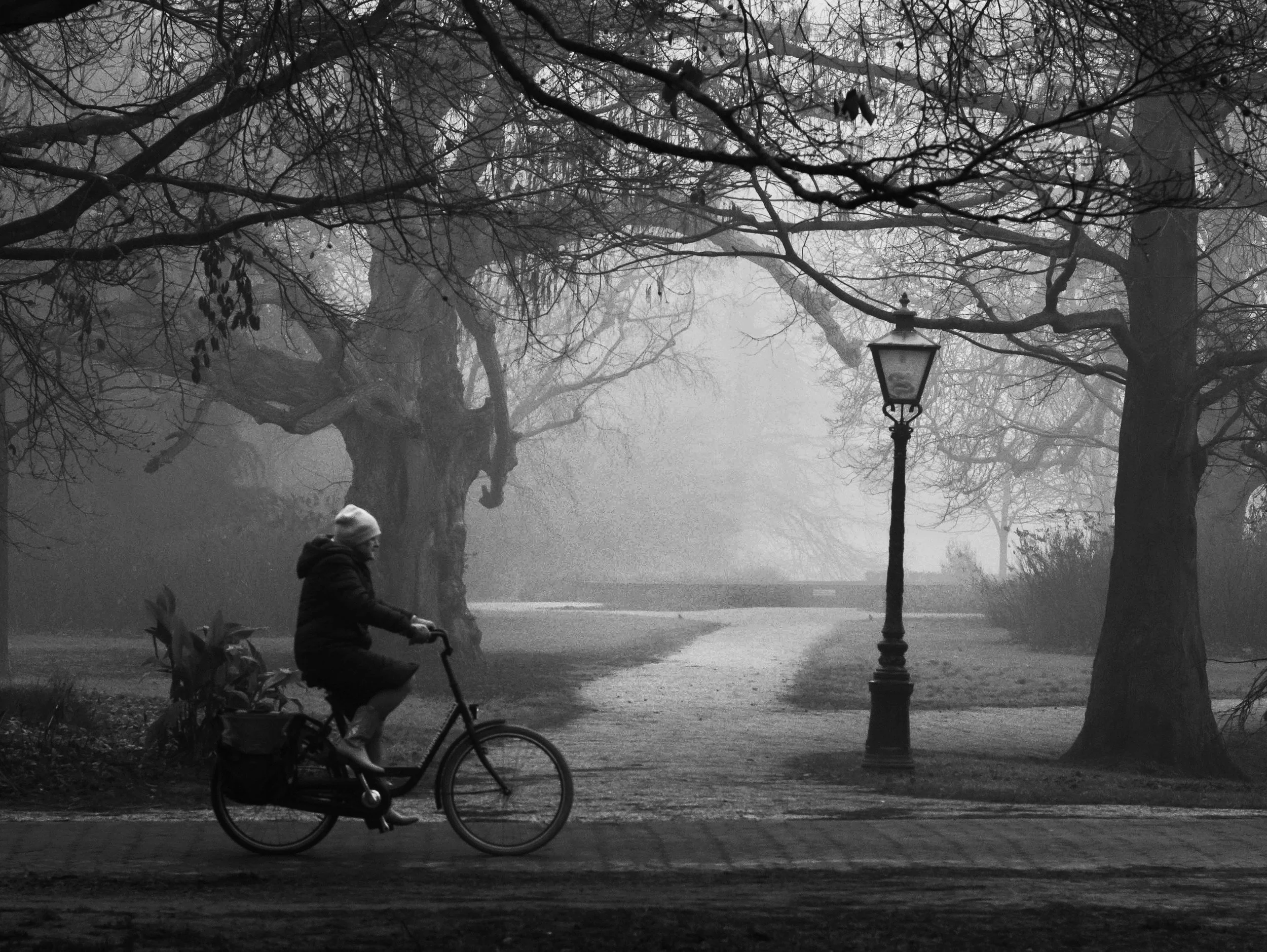 A black and white photograph of a park scene with leafless trees, a vintage street lamp, and two children on bicycles, one older and one younger, riding along a paved path during foggy weather.