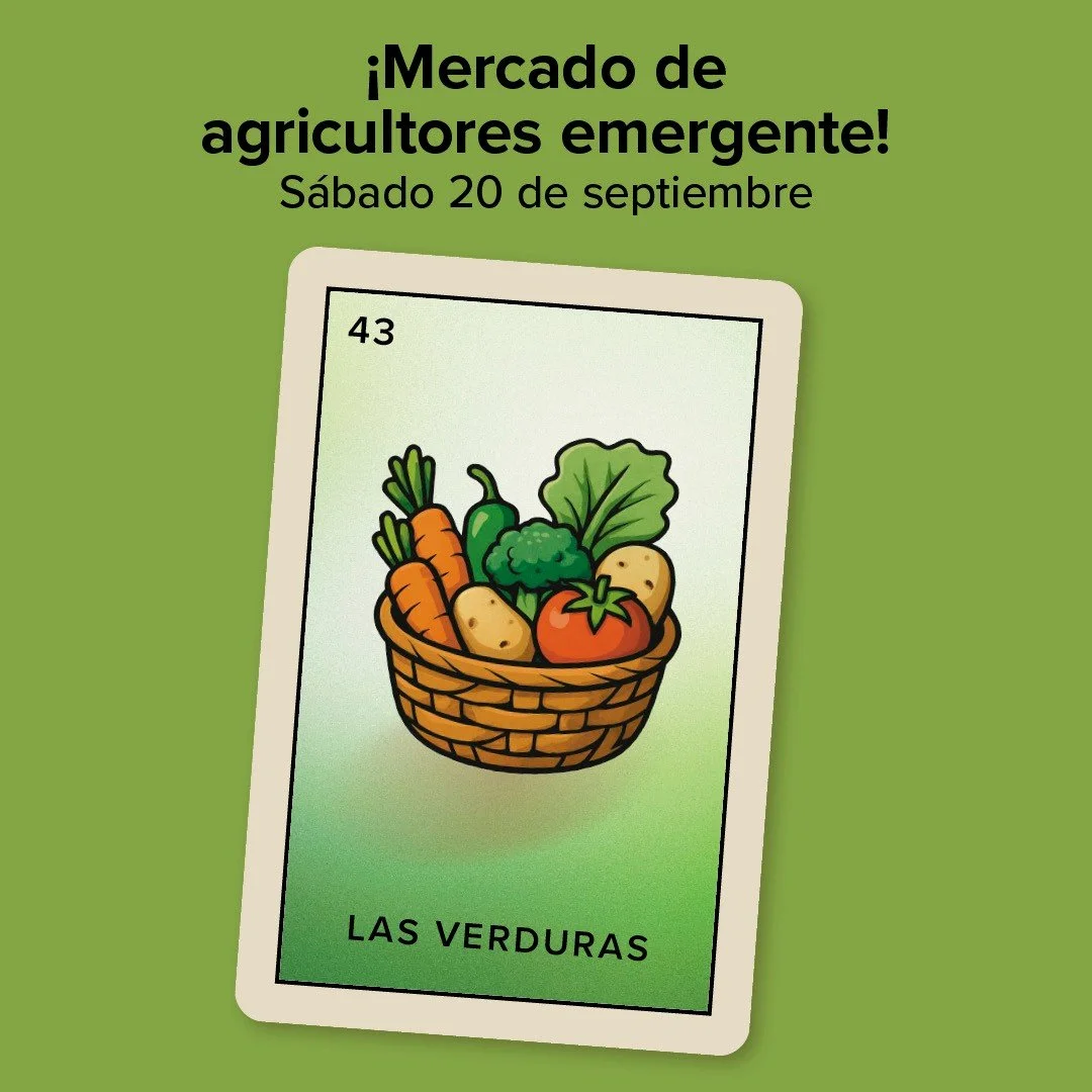 🌽🥕 Pop-Up Farmers Market at Fenix Family Health Center! 🥦🍅

Un gran agradecimiento a Aetna por organizar este hermoso evento comunitario. 💙

📅 S&aacute;bado, 20 de septiembre
🕛 12 PM &ndash; 2 PM

📍 Cl&iacute;nica Fenix, 130 Washington Ave., 