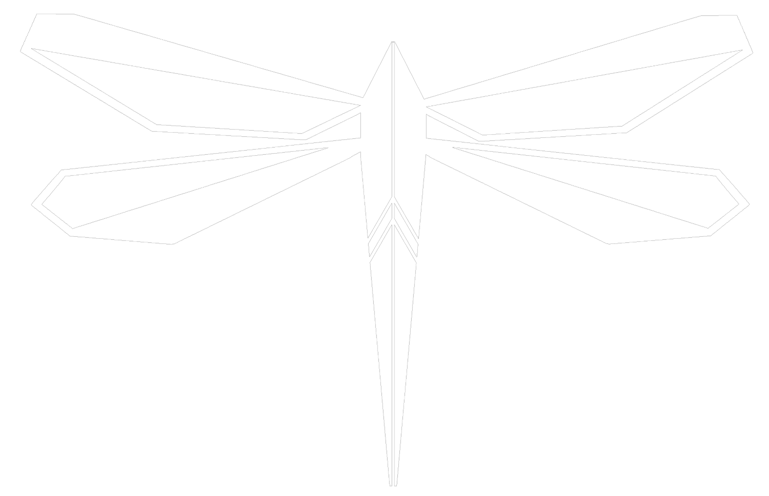 Dragonfly Accuracy
