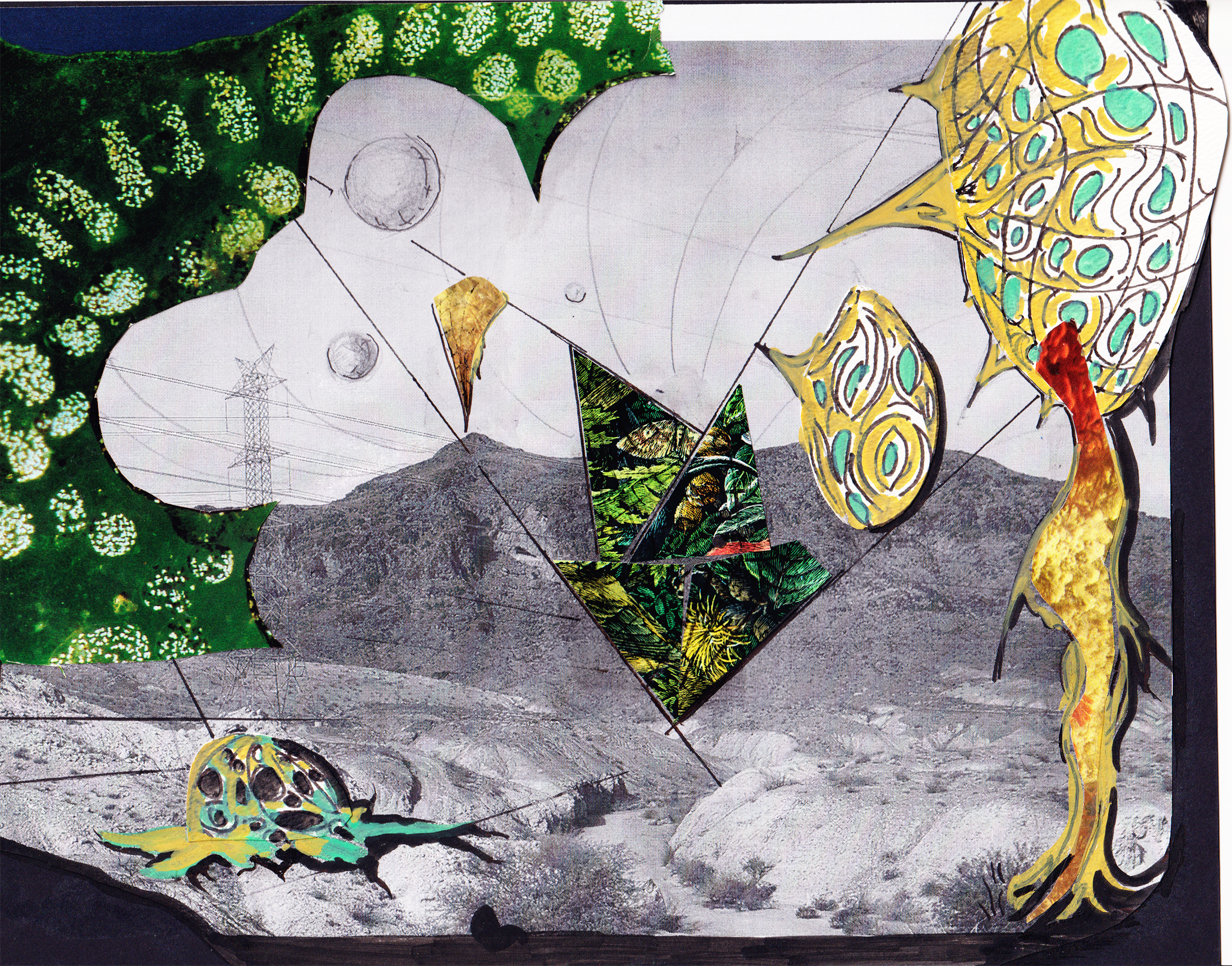 Collage (5).png
