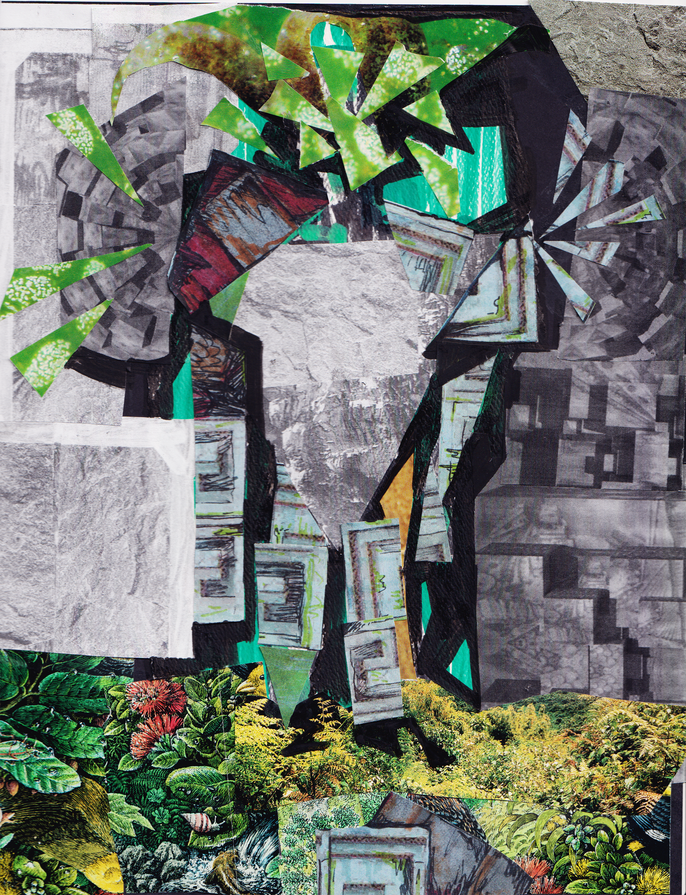 Collage (4).png