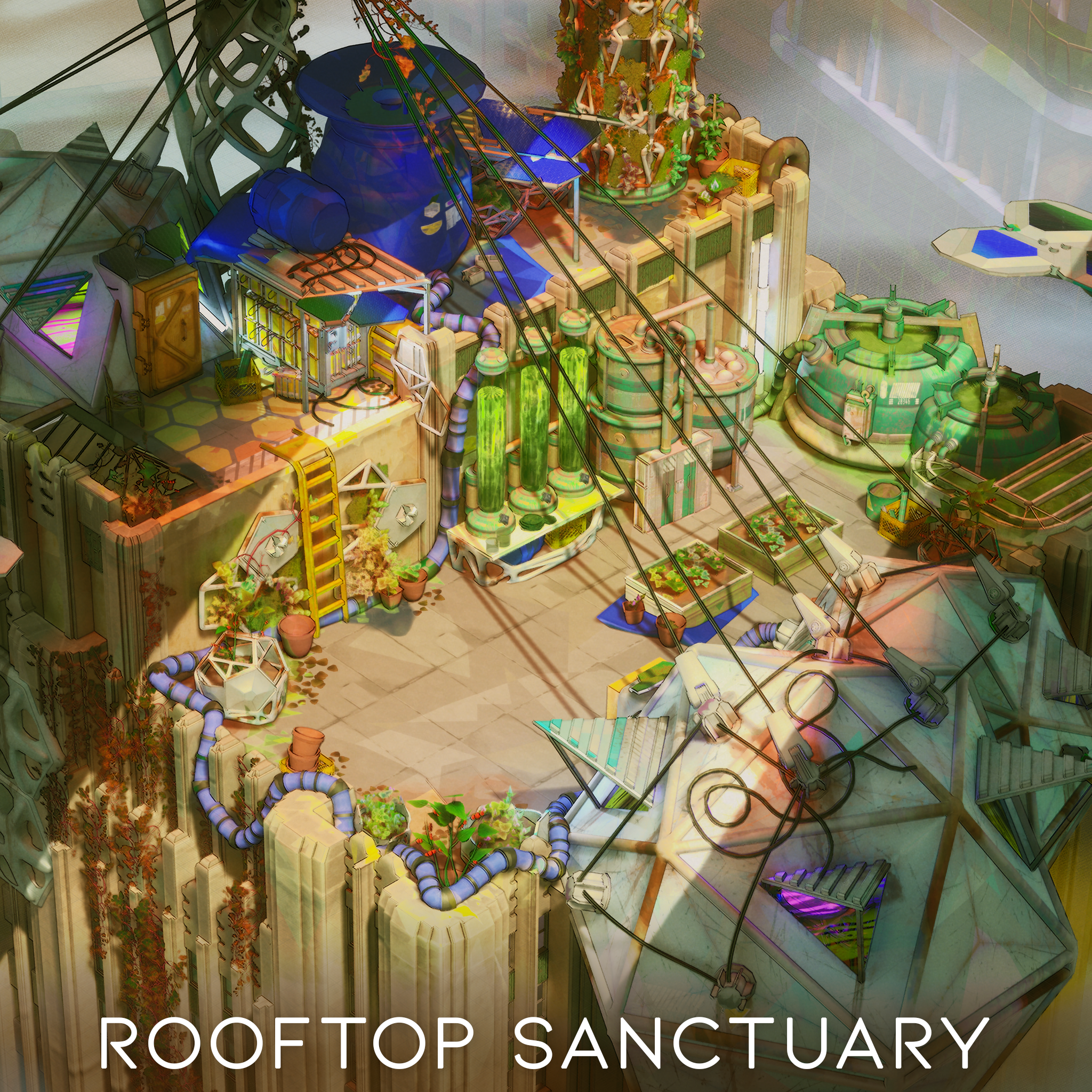 Rooftop Sanctuary