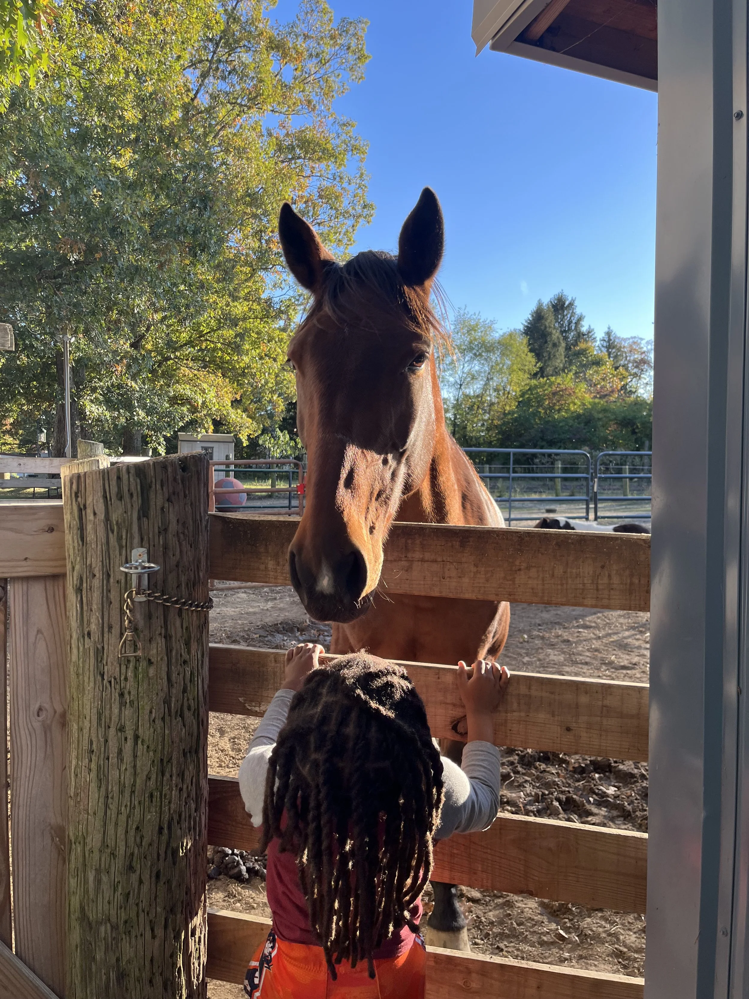 Meadow Run Rescue and Sanctuary program participant interacting with horse