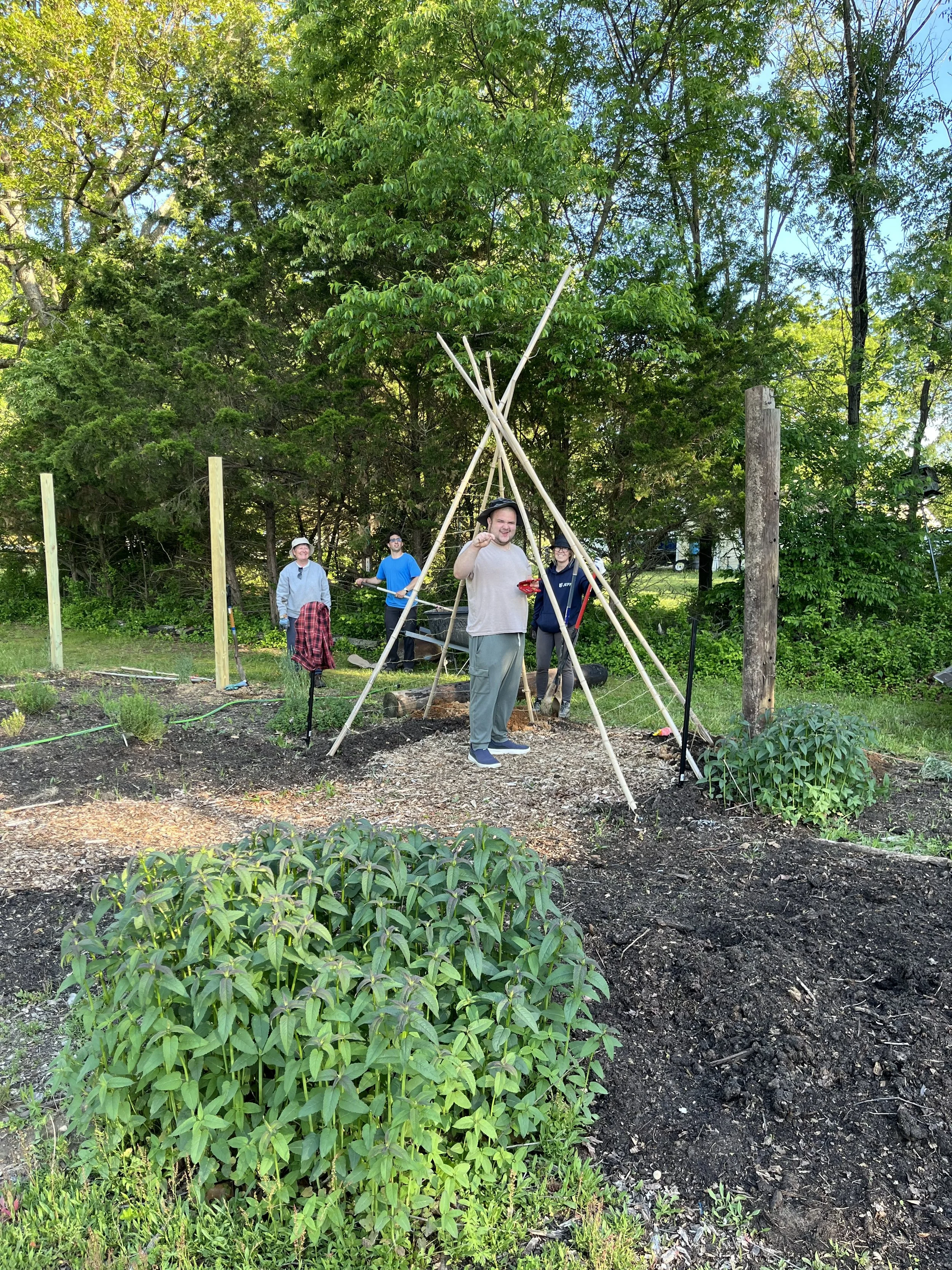 People planting a small tree or sapling in a garden, with a teepee-like wooden structure supporting it, surrounded by greenery and trees.