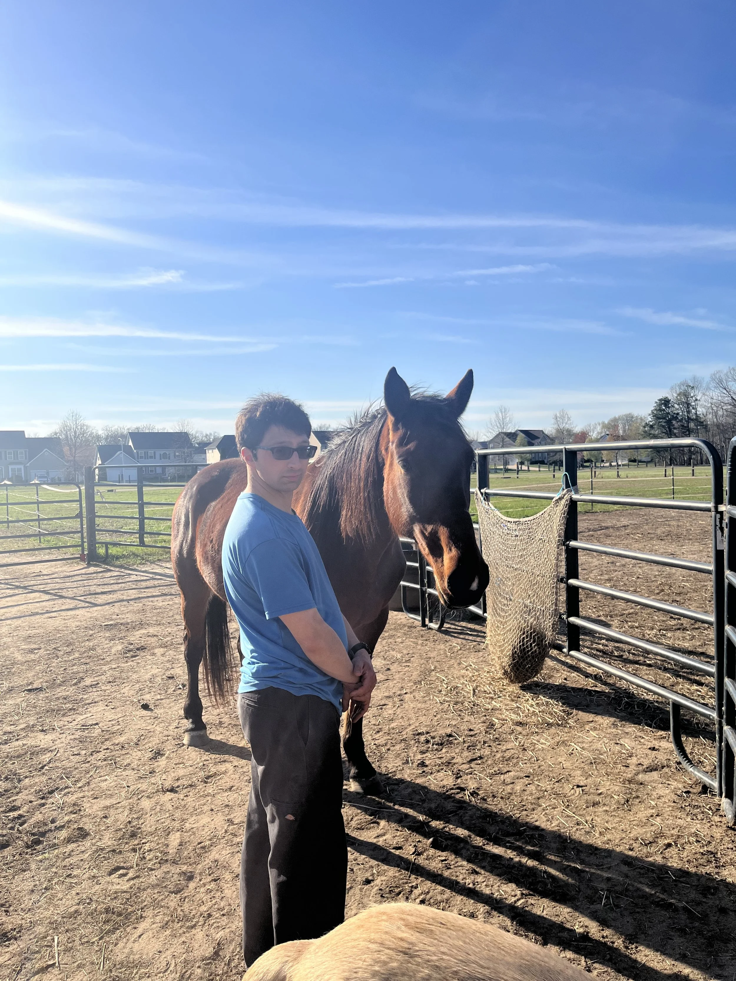 A man in sunglasses and a blue shirt standing next to a brown horse inside a fenced area at a farm on a sunny day.