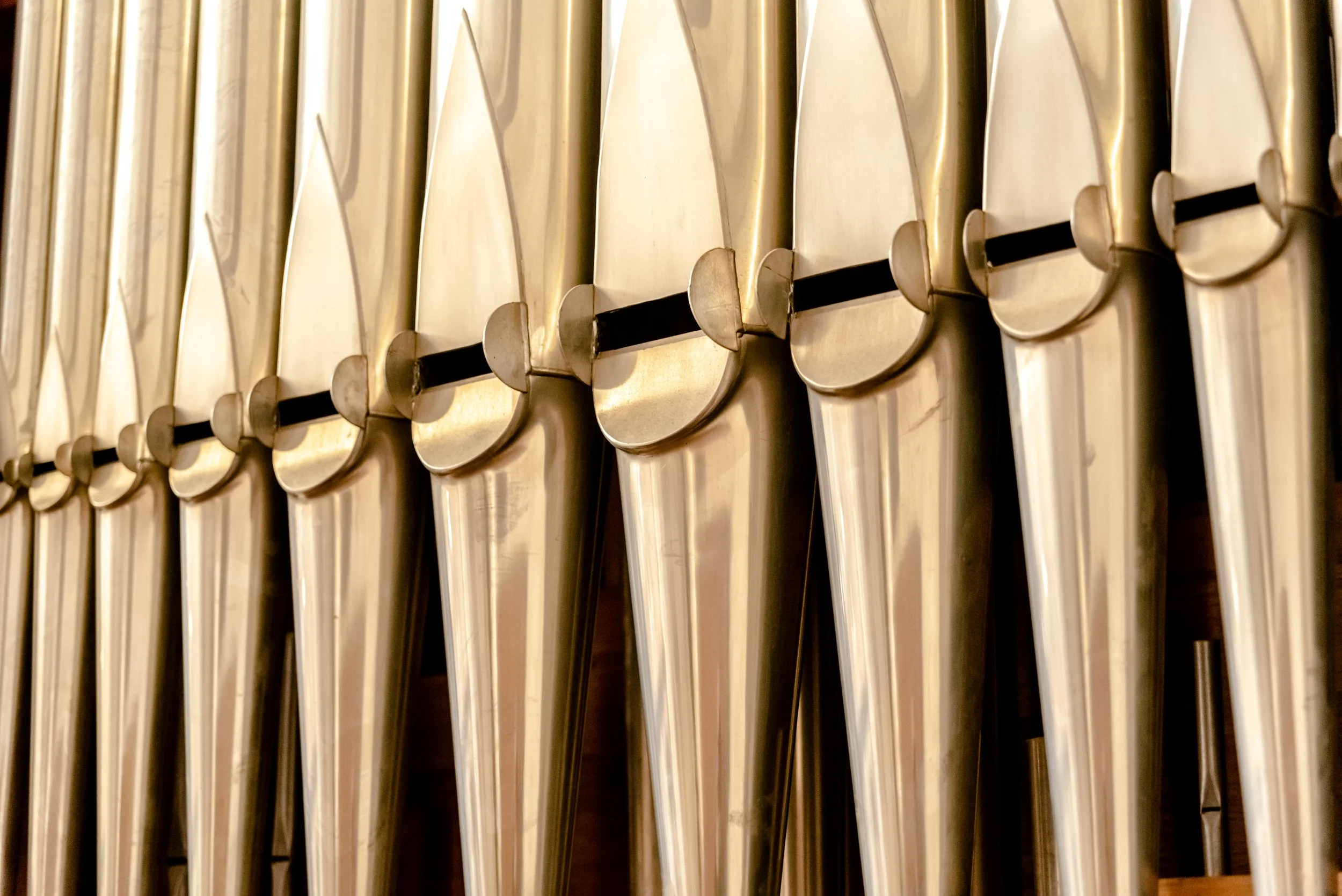Rock Organ