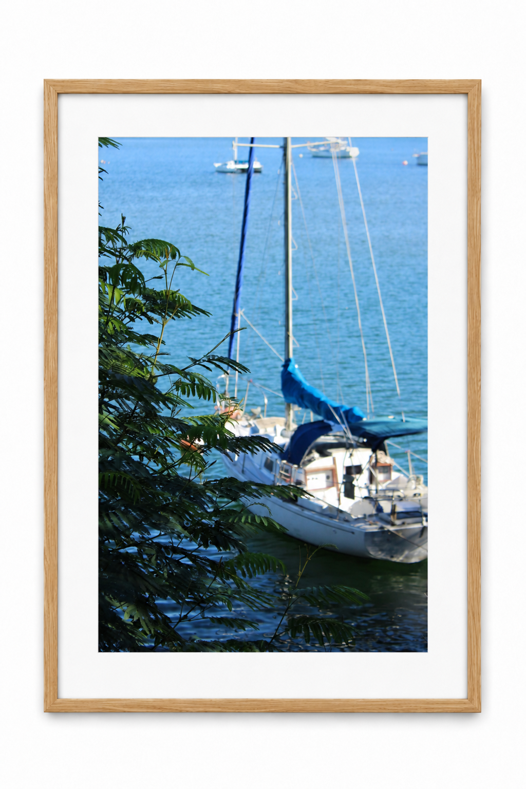 ChatGPT Image Jul 21, 2026 at 01_12_54 PM (8).png