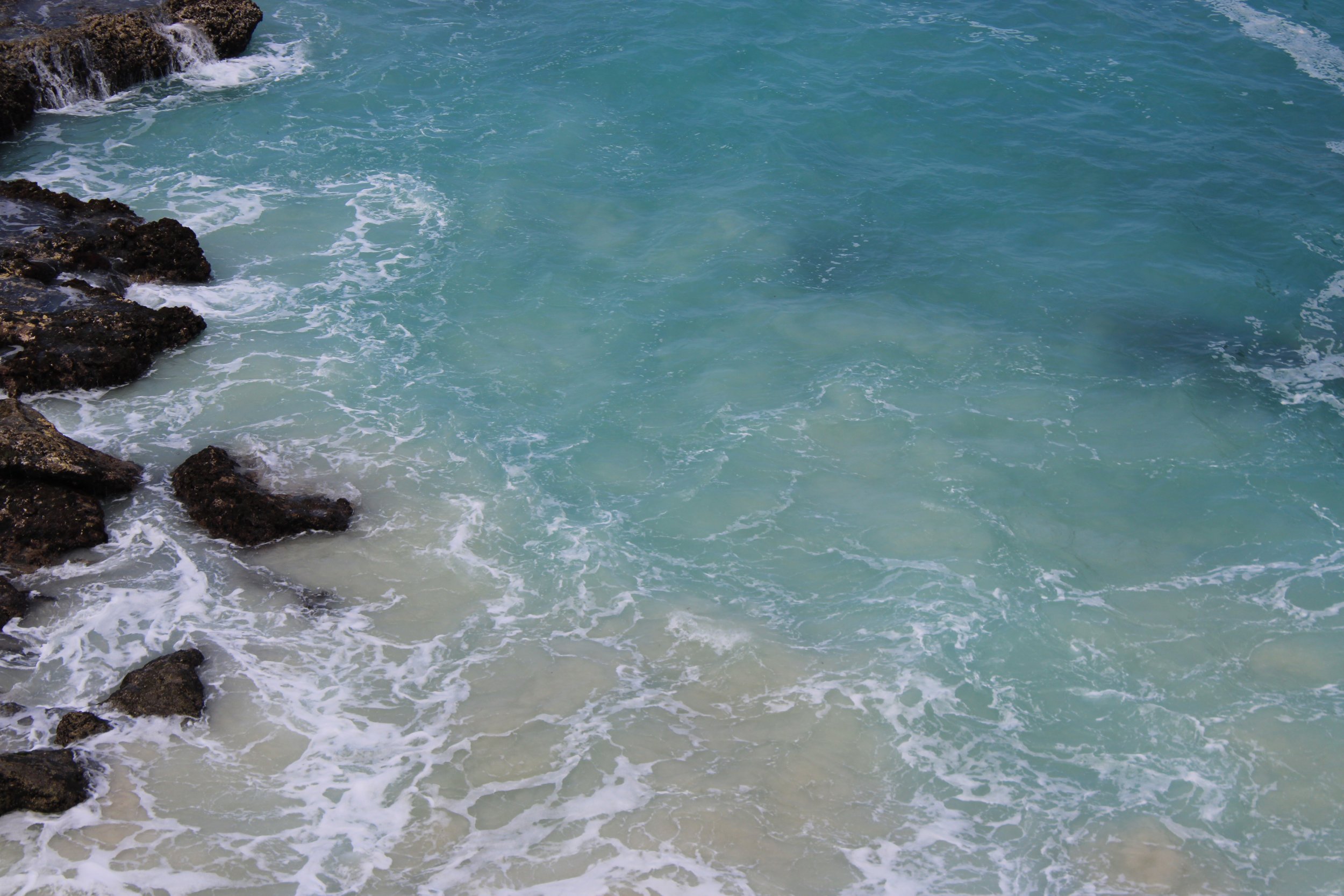 Turtles Bay