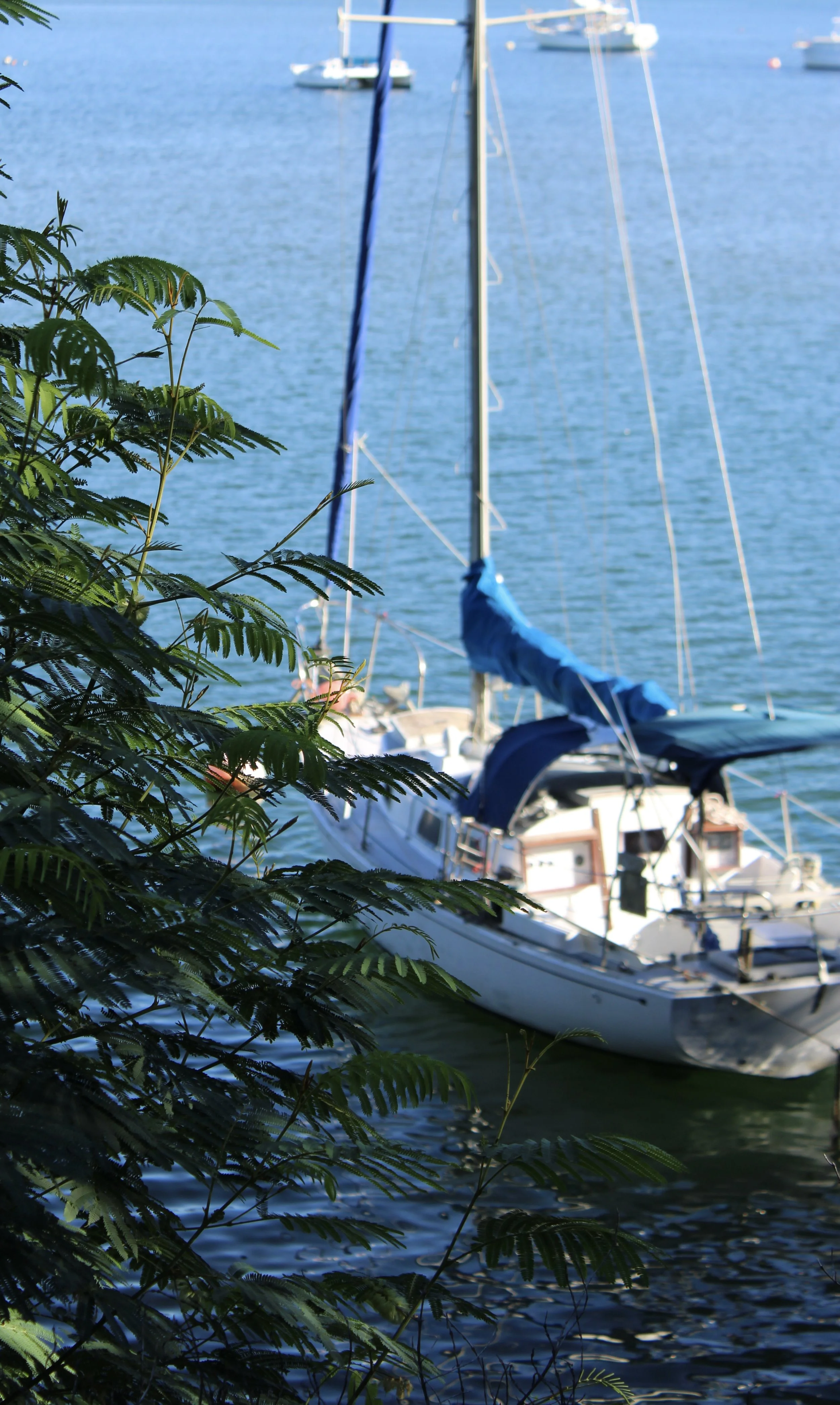 Sailor’s Shelter