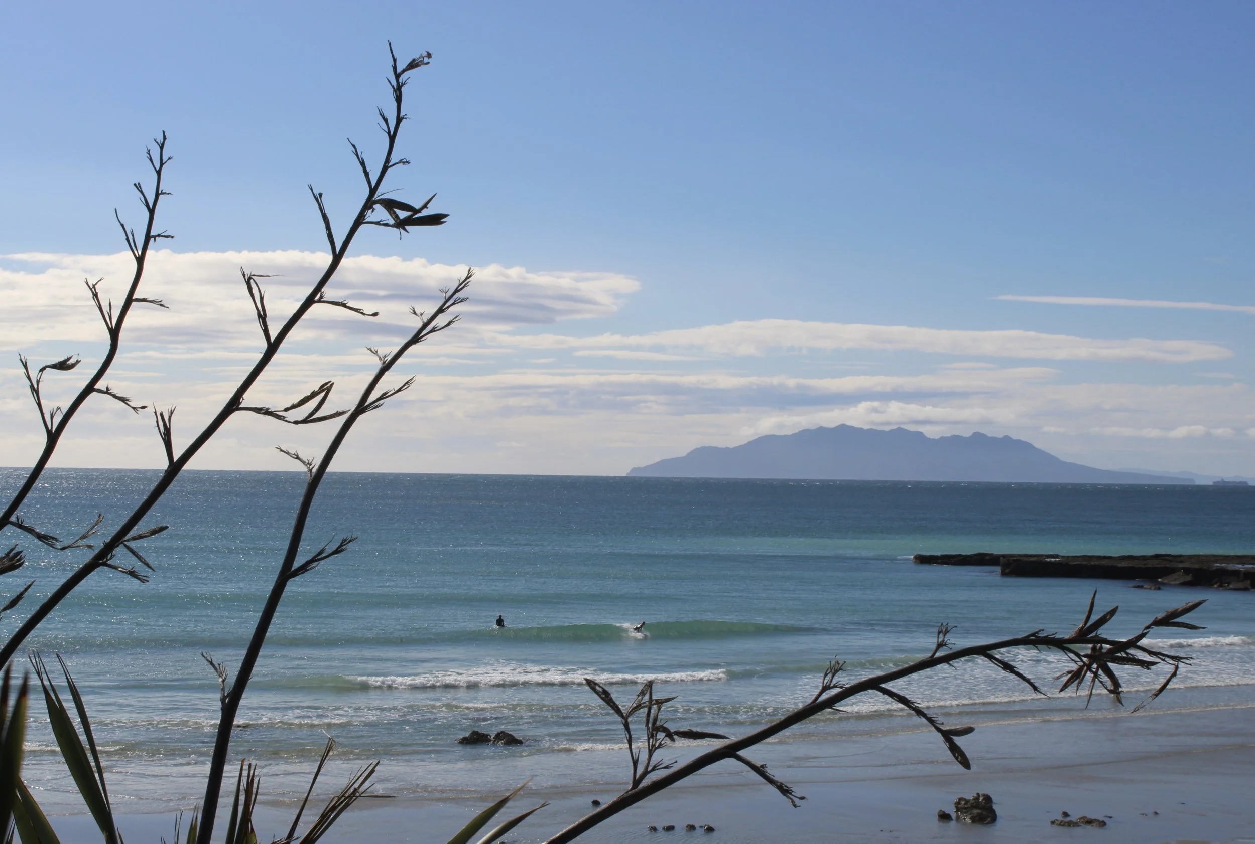 Tāwharanui Lines