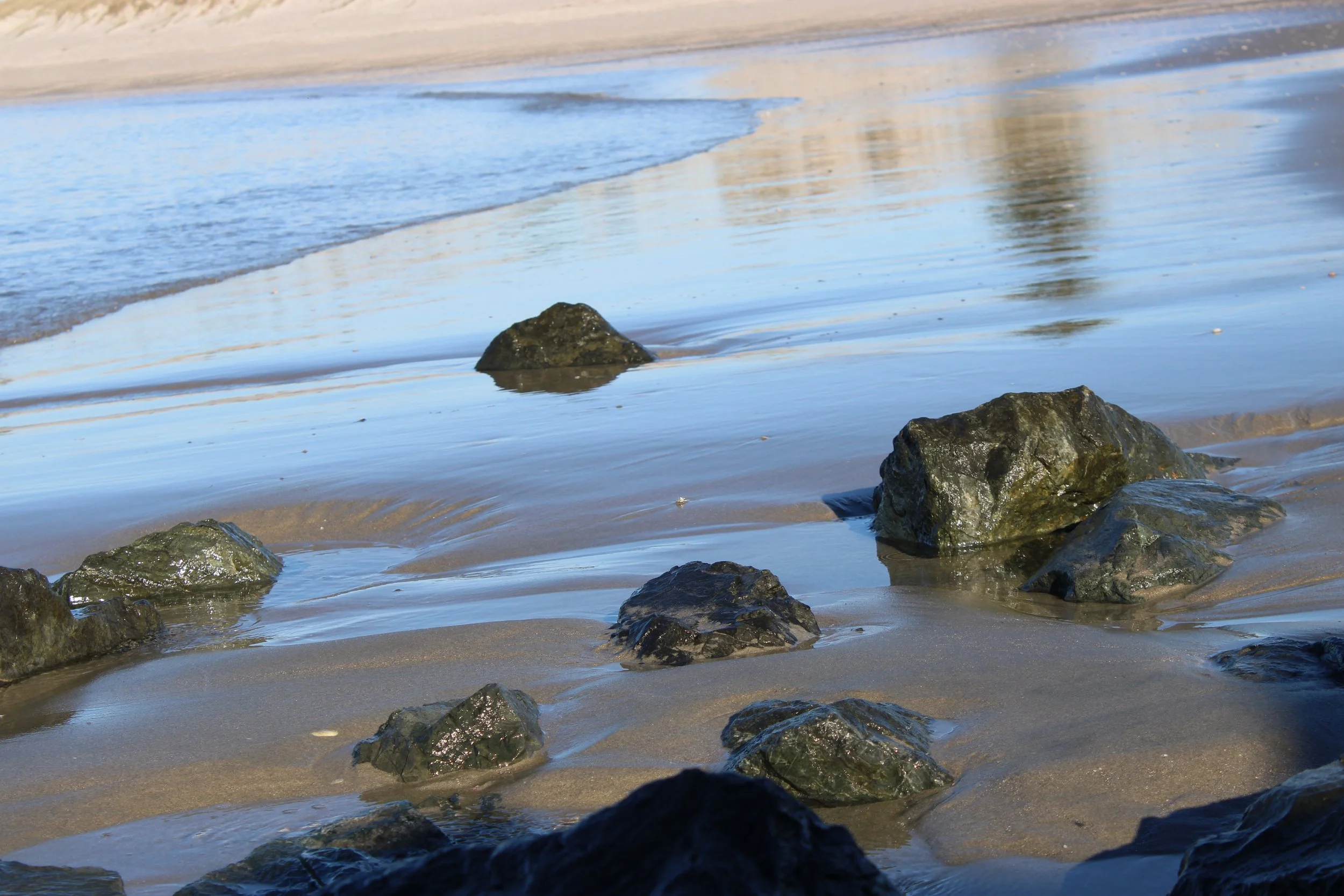 Still Reflections