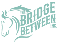 The Bridge Between Inc.