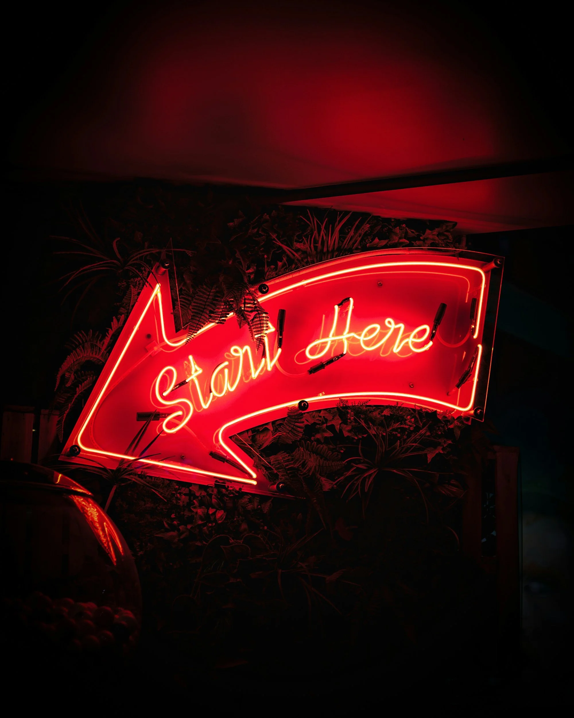 Neon sign reading 'Talk Here!' in red and yellow, surrounded by plants and decorative elements, illuminated in a dark setting.