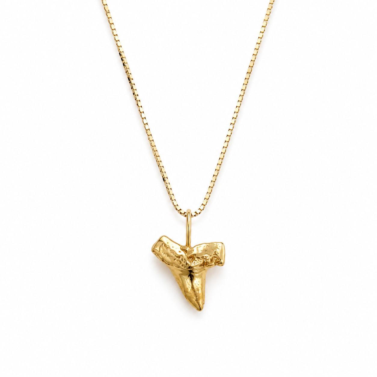 Shark Tooth Necklace
