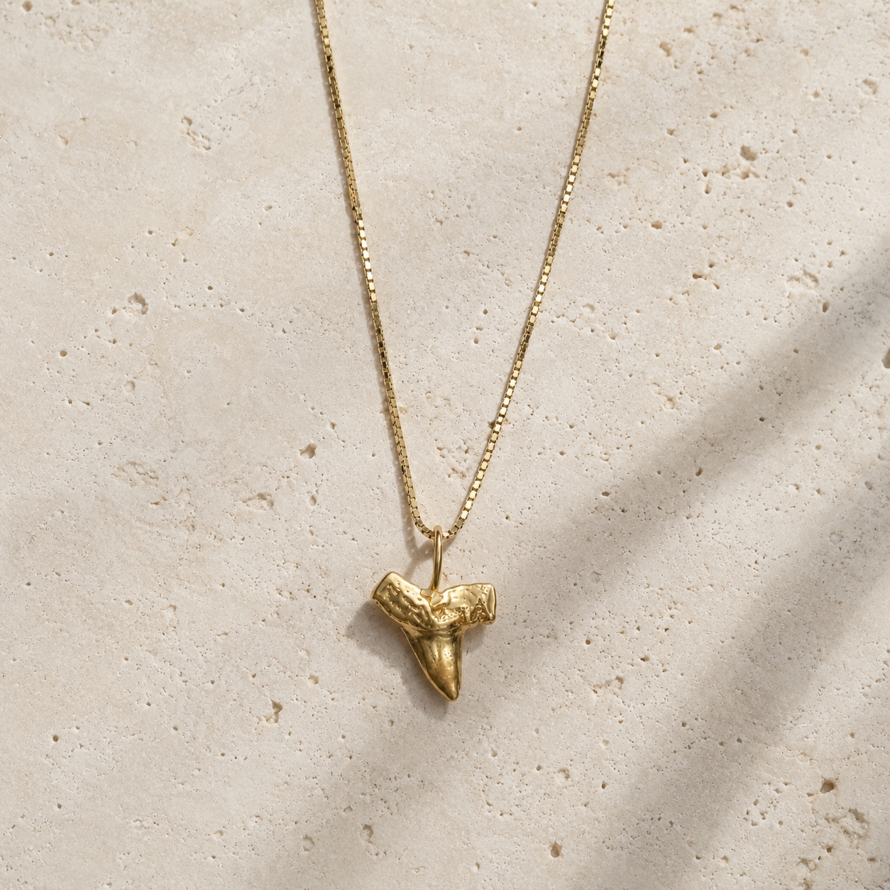 Isla Shark Tooth Necklace