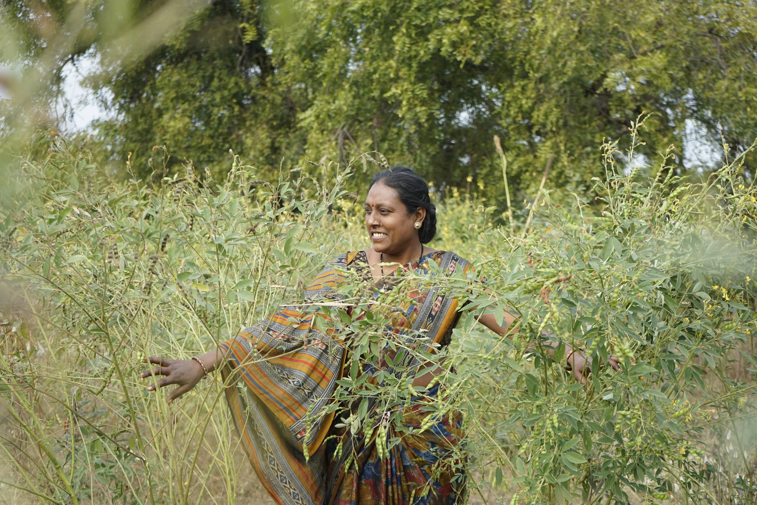 Nilima's Colourful Farm