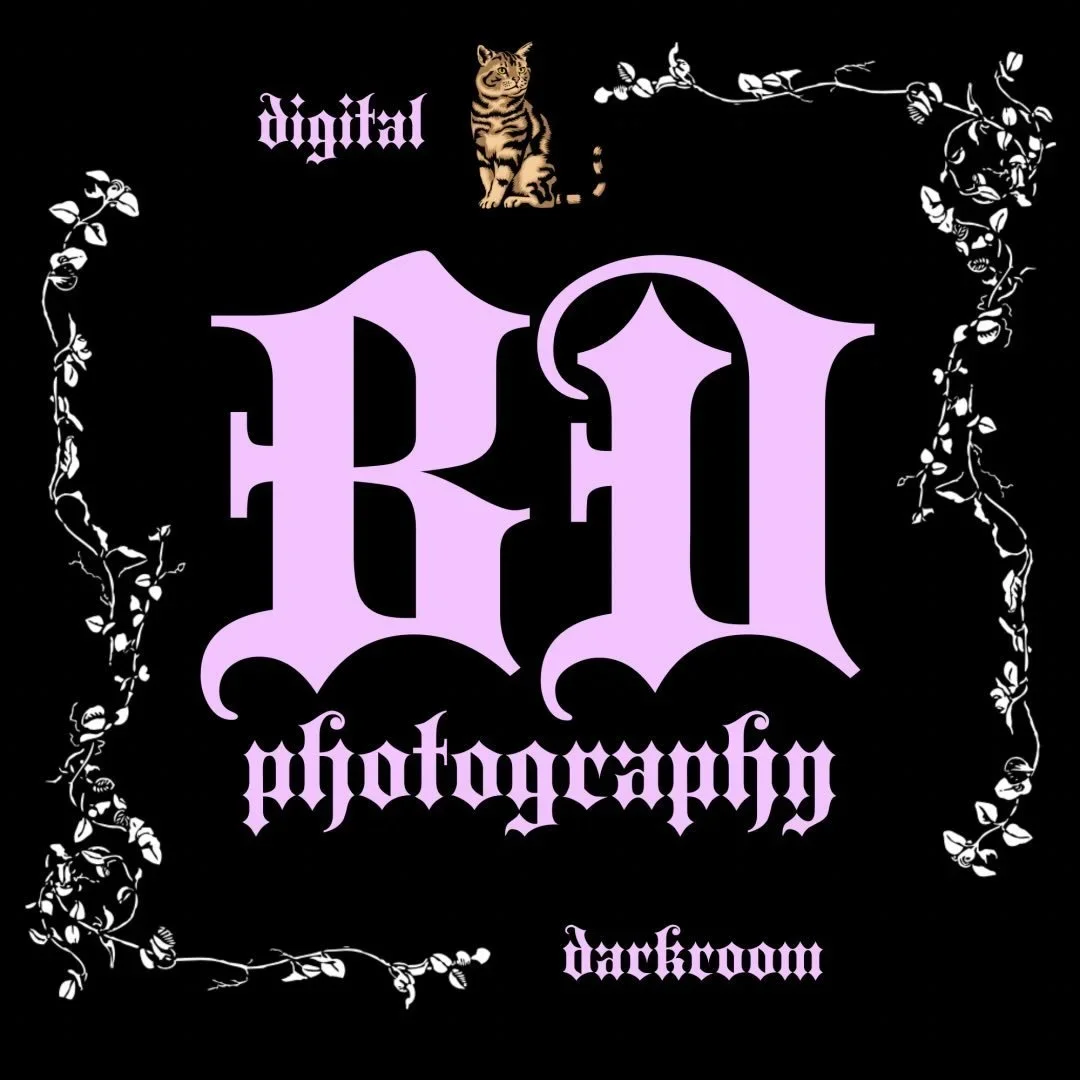 central illinois photographer tintypes film and digital