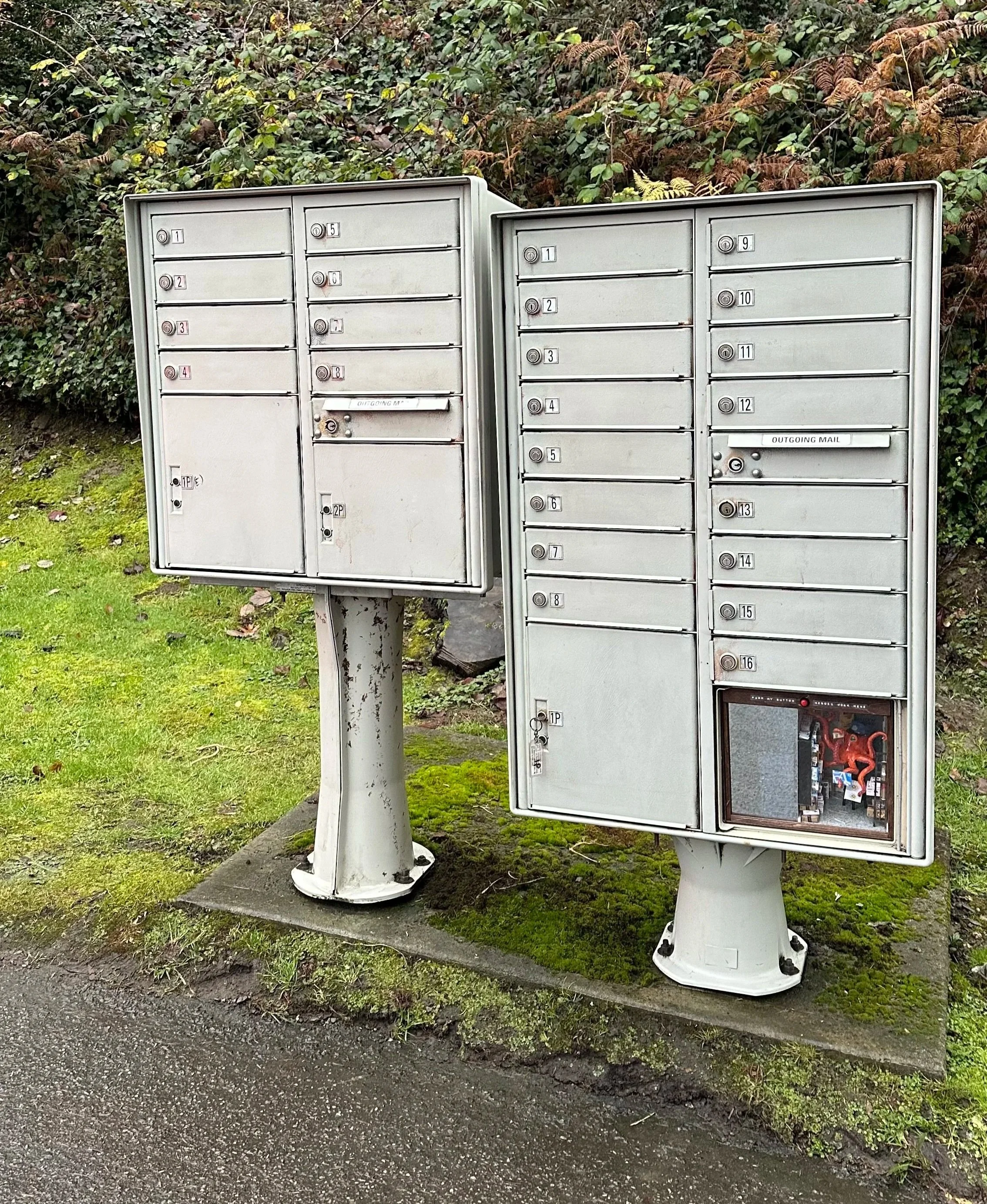 Apartment mailboxes with 16 compartments, some locked and one open showing magazines and mail, set on a concrete base beside a grassy area, with bushes and trees behind and in front of a multi-story house.