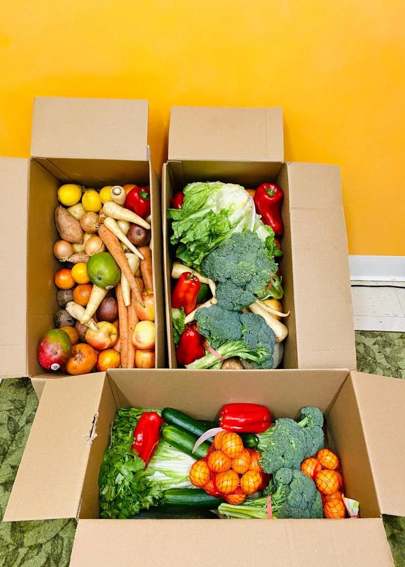 Three cardboard boxes filled with fresh vegetables and fruits, including apples, oranges, potatoes, carrots, lettuce, broccoli, peppers, and cucumbers, on a yellow background.