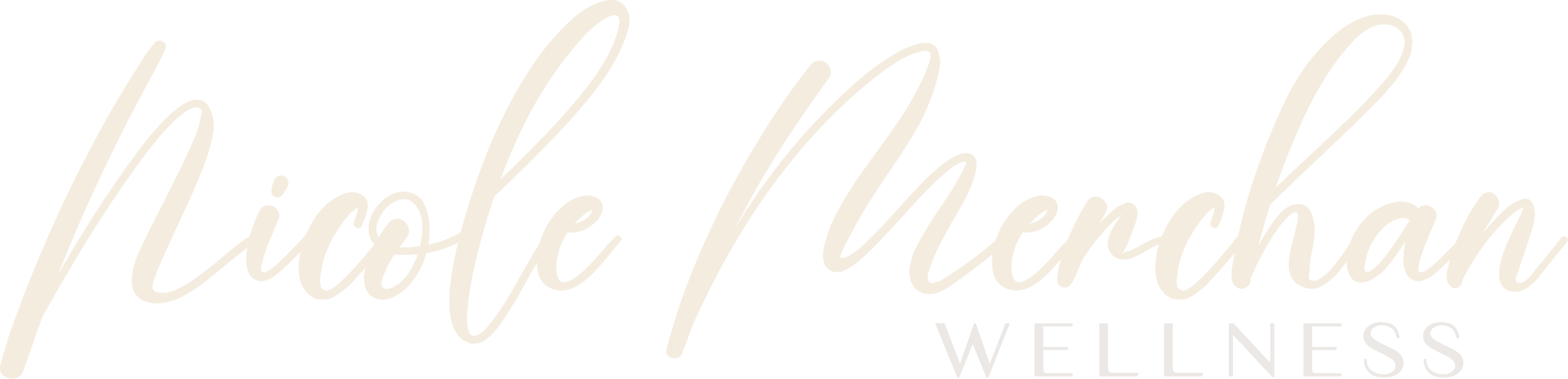 Stylized logo with the text 'Nicole Marchan Wellness' in cursive font.