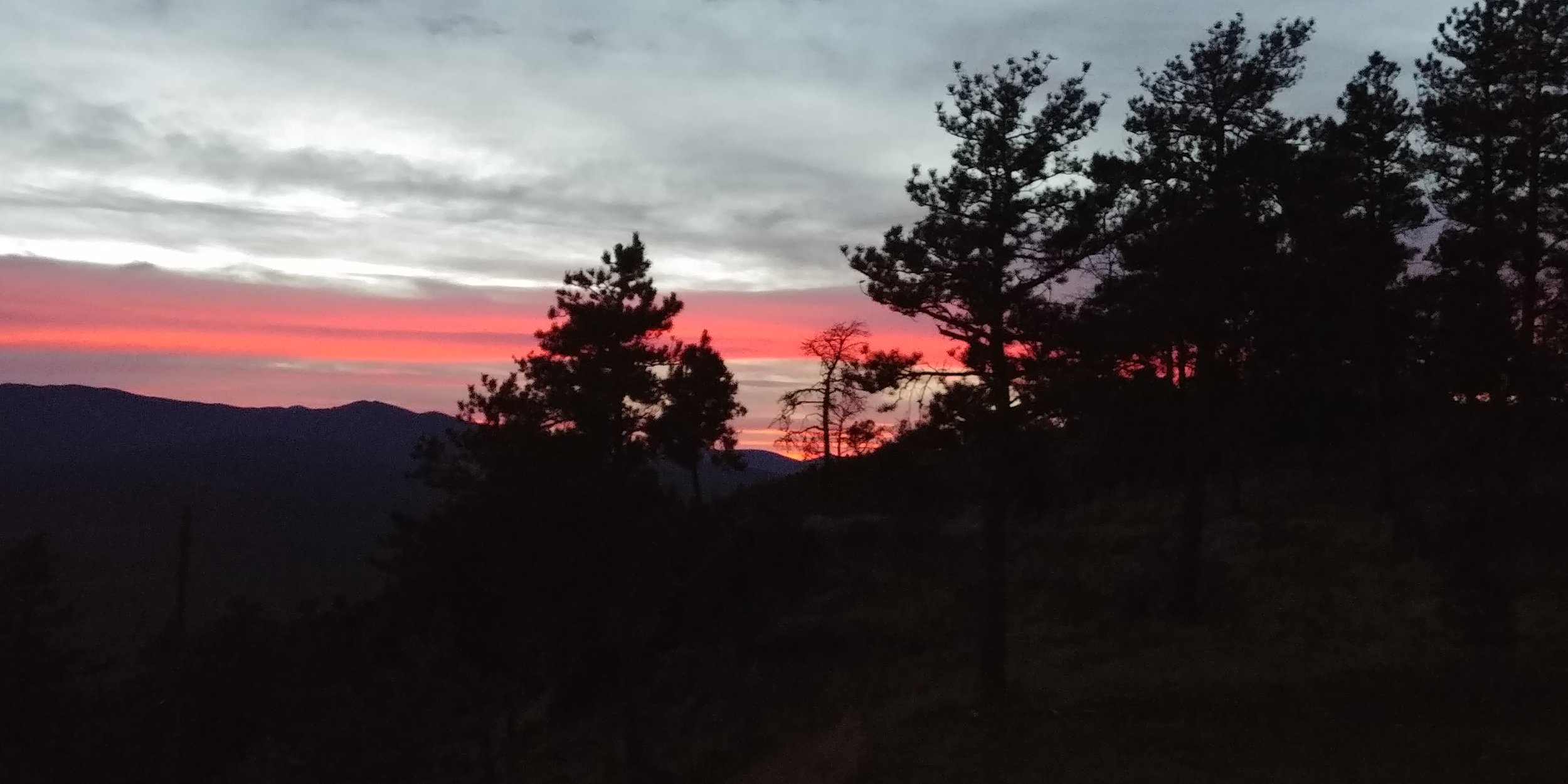 Scenic view of a sunset with pink and orange hues, silhouetted trees in the foreground, and mountain ranges in the background.