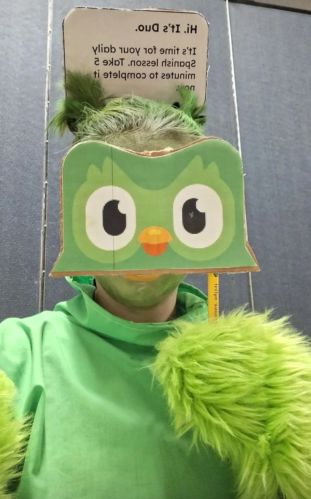 Duolingo Costume with fuzzy wings, face mask, and Text bubble made by me!