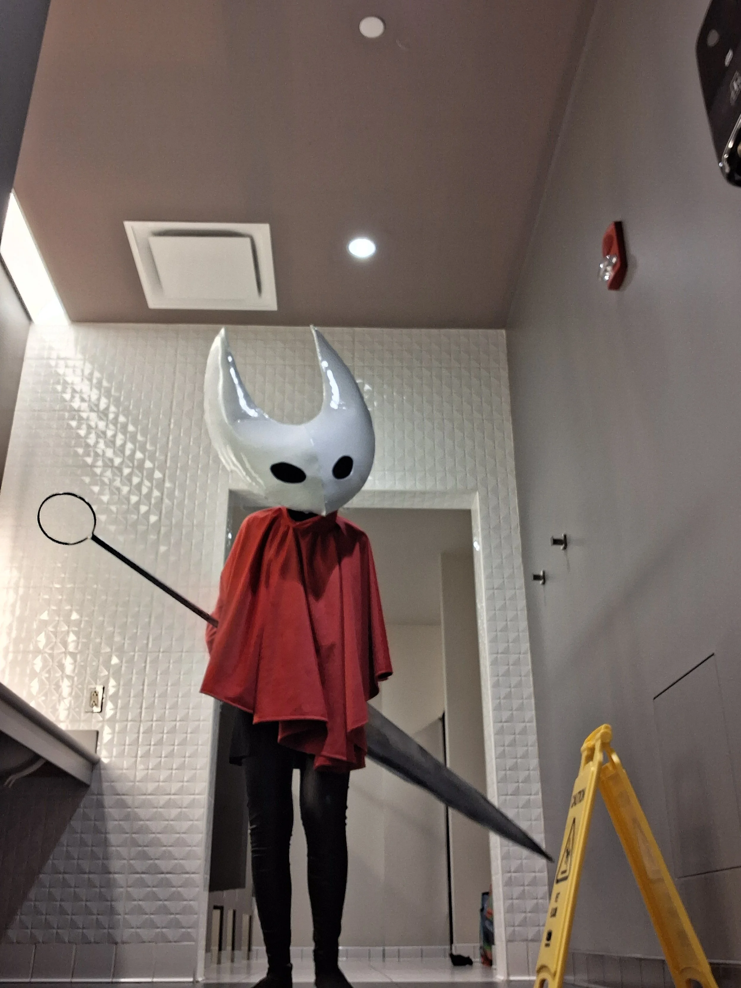 Hollow Knight Silk Song Cosplay