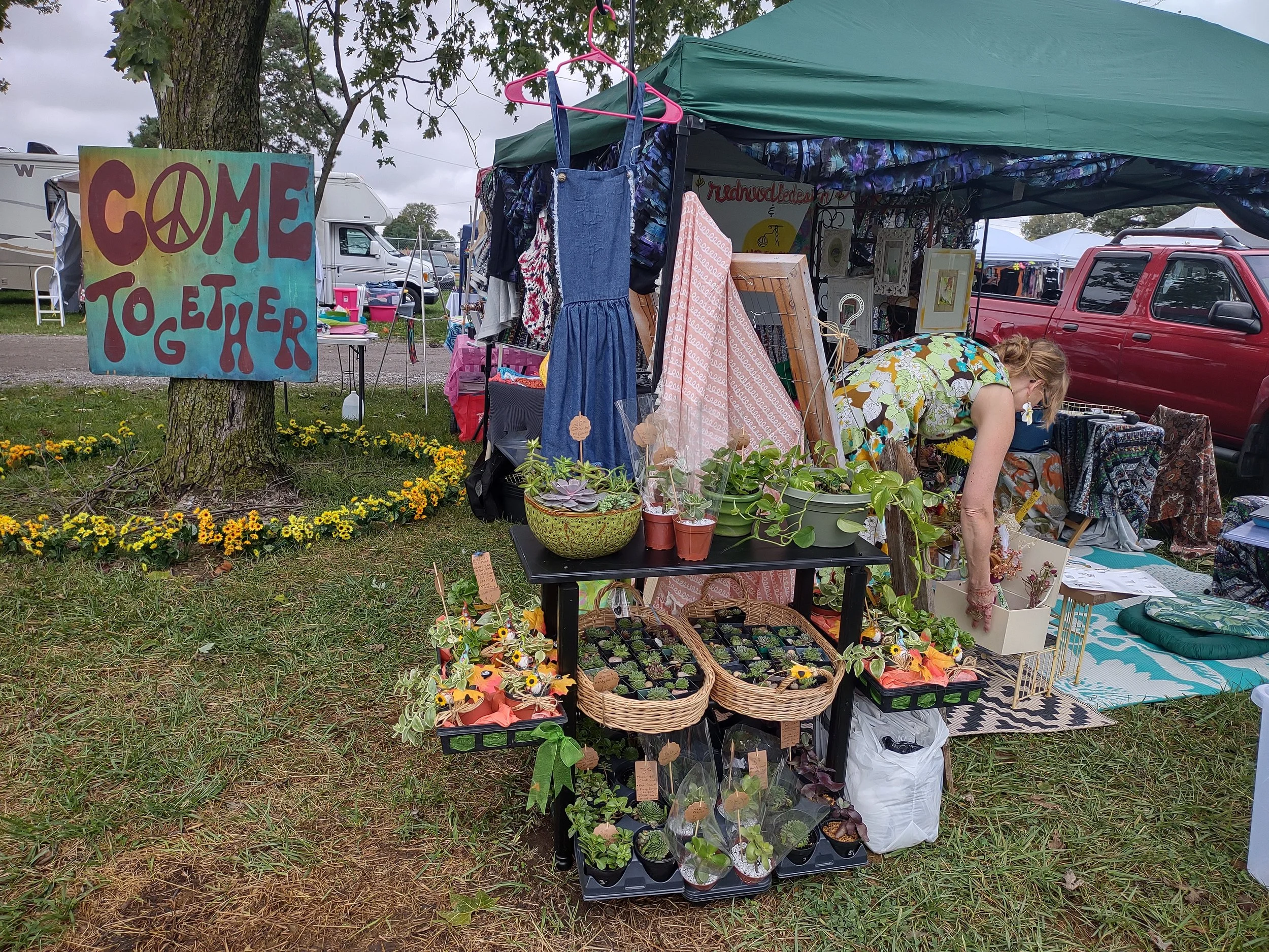 Plants that a friend grew and contributed to the booth!  (2024)