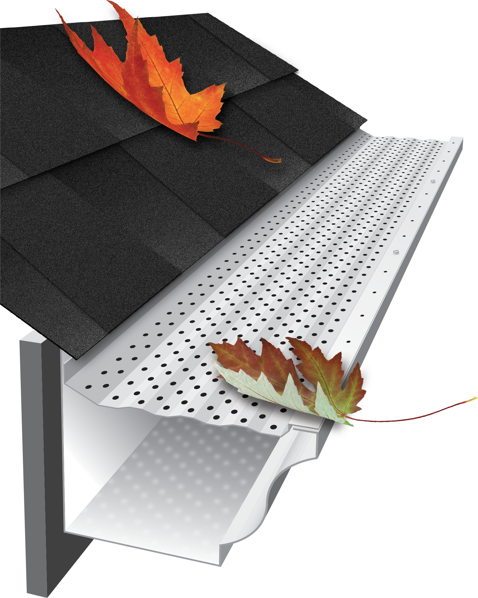 A leaf on black shingles near a gutter that is protected by GutterRx gutter guards.
