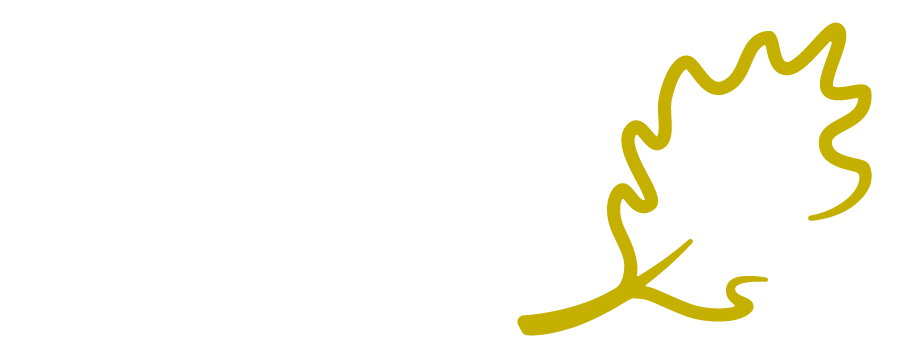 GutterRx Gutter Guards