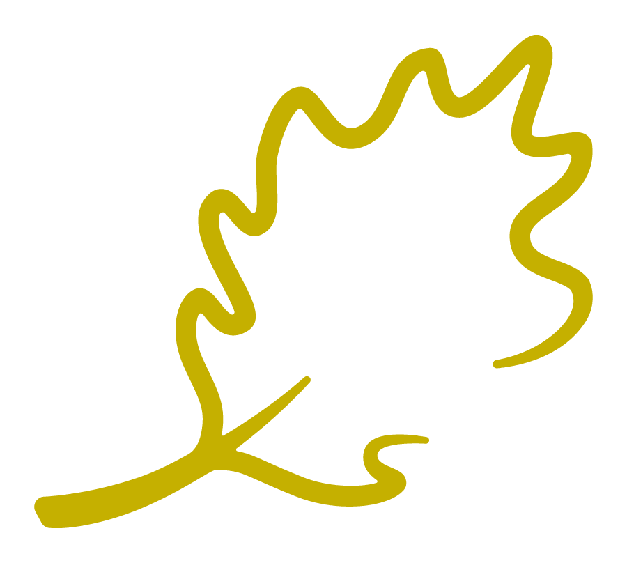 GutterRx Gutter Guards