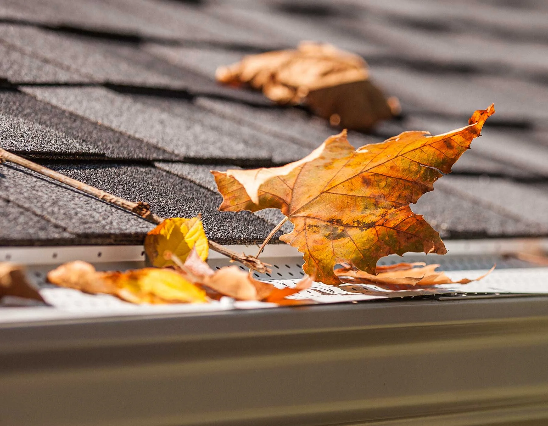 GutterRx Self-Cleaning Ridges